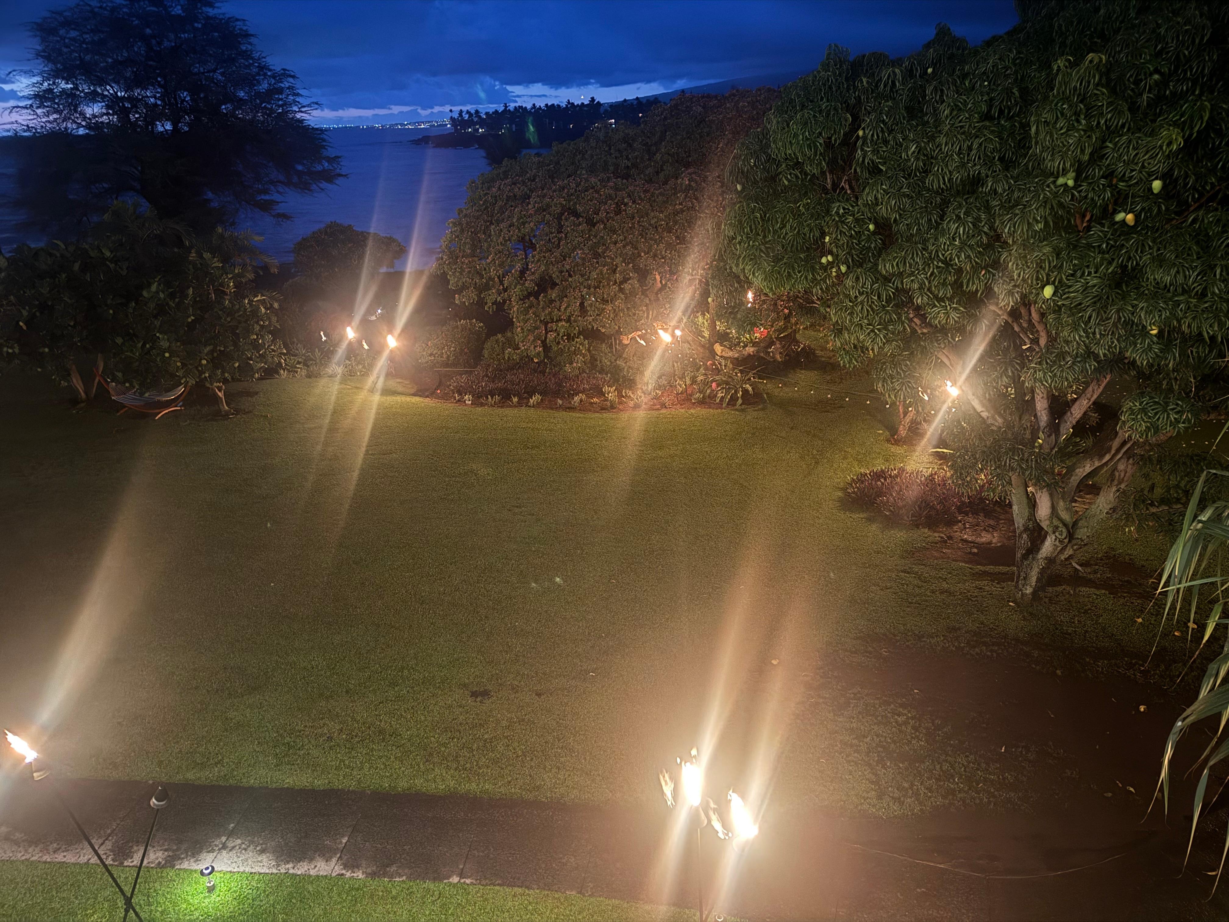 Grounds below the Lobby at night.