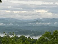 View from the back deck