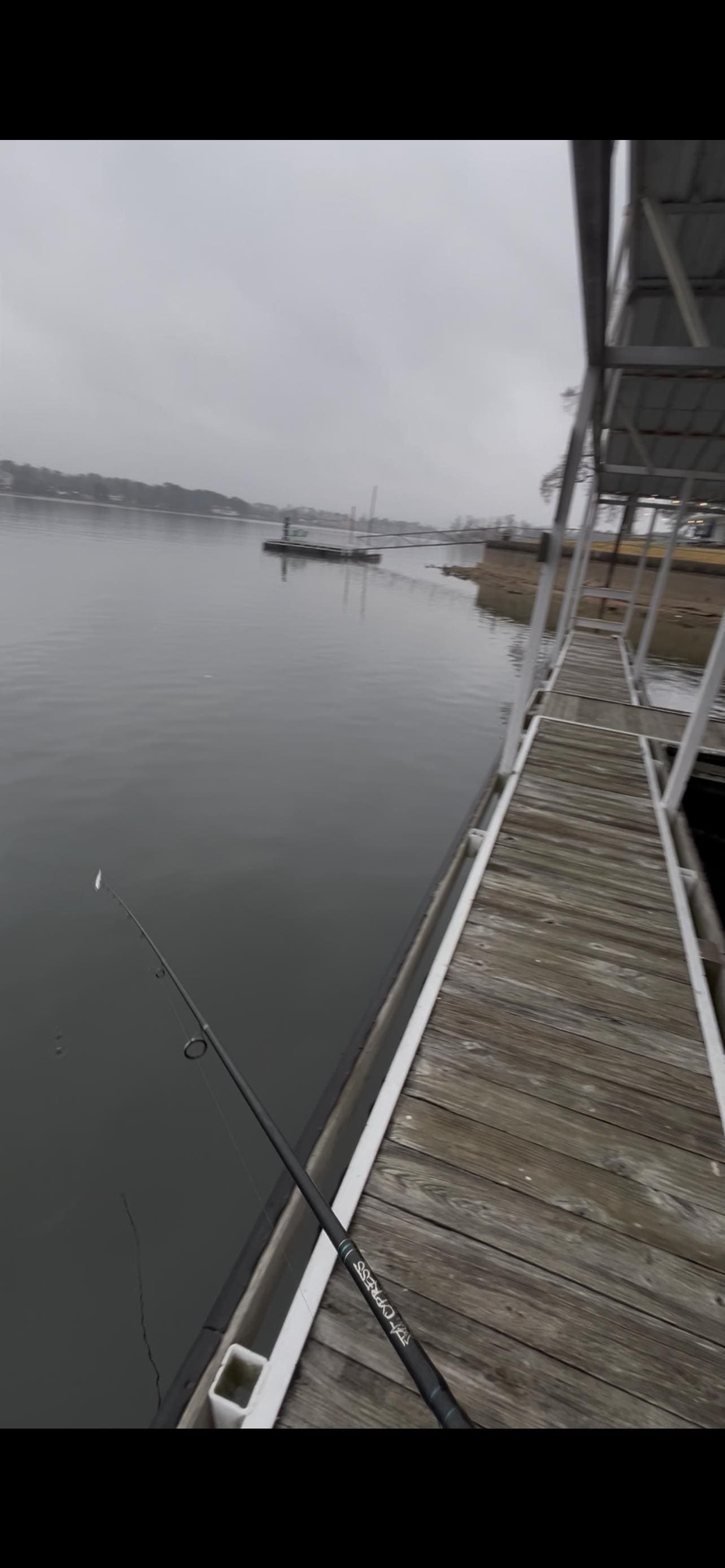 The little dock in the background has a couple nice benches to sit on and look over the lake 