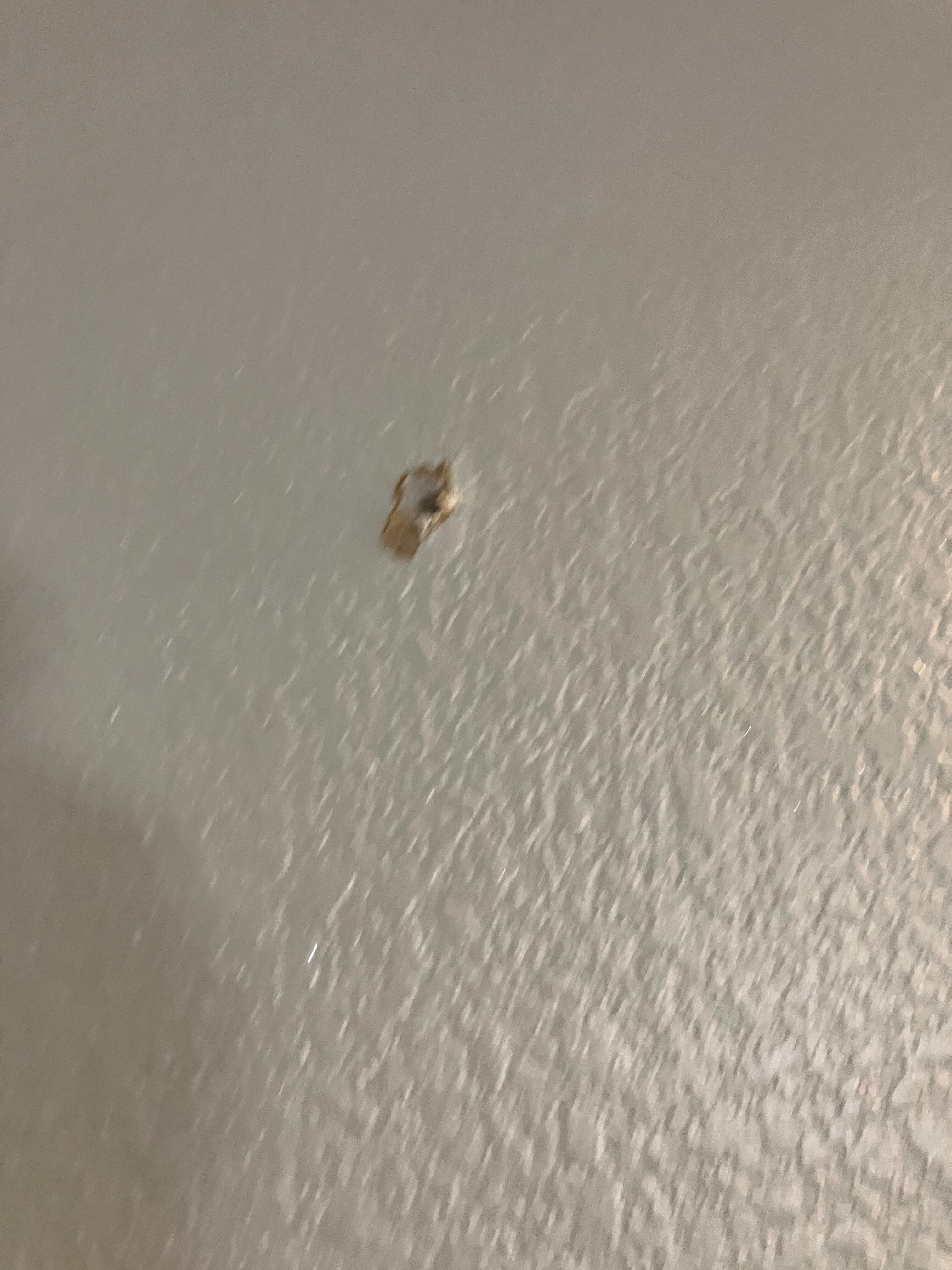 No battery in smoke detector. 