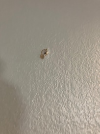 No battery in smoke detector.