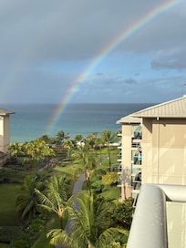 Most perfect rainbow we’ve ever seen!