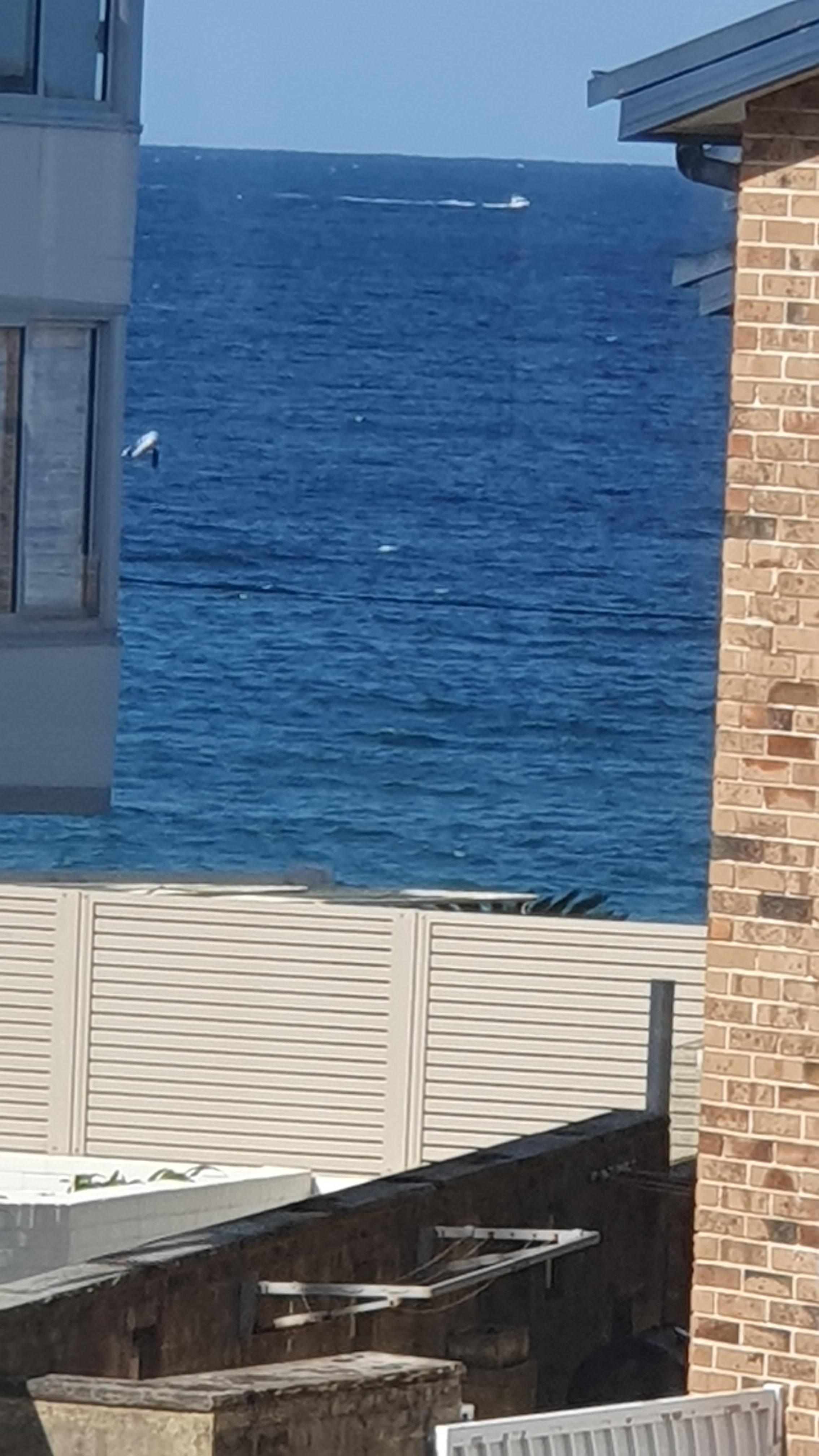 I thought it was a small boat in trouble, but it was a whale frolicking- far left in ocean.  Taken hastily from lounge room.  