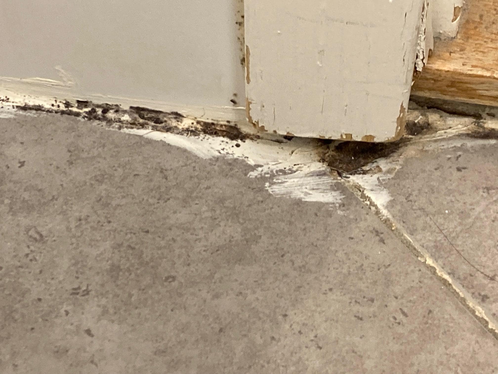 I badrummet är dörrkarmen möglig och rutten