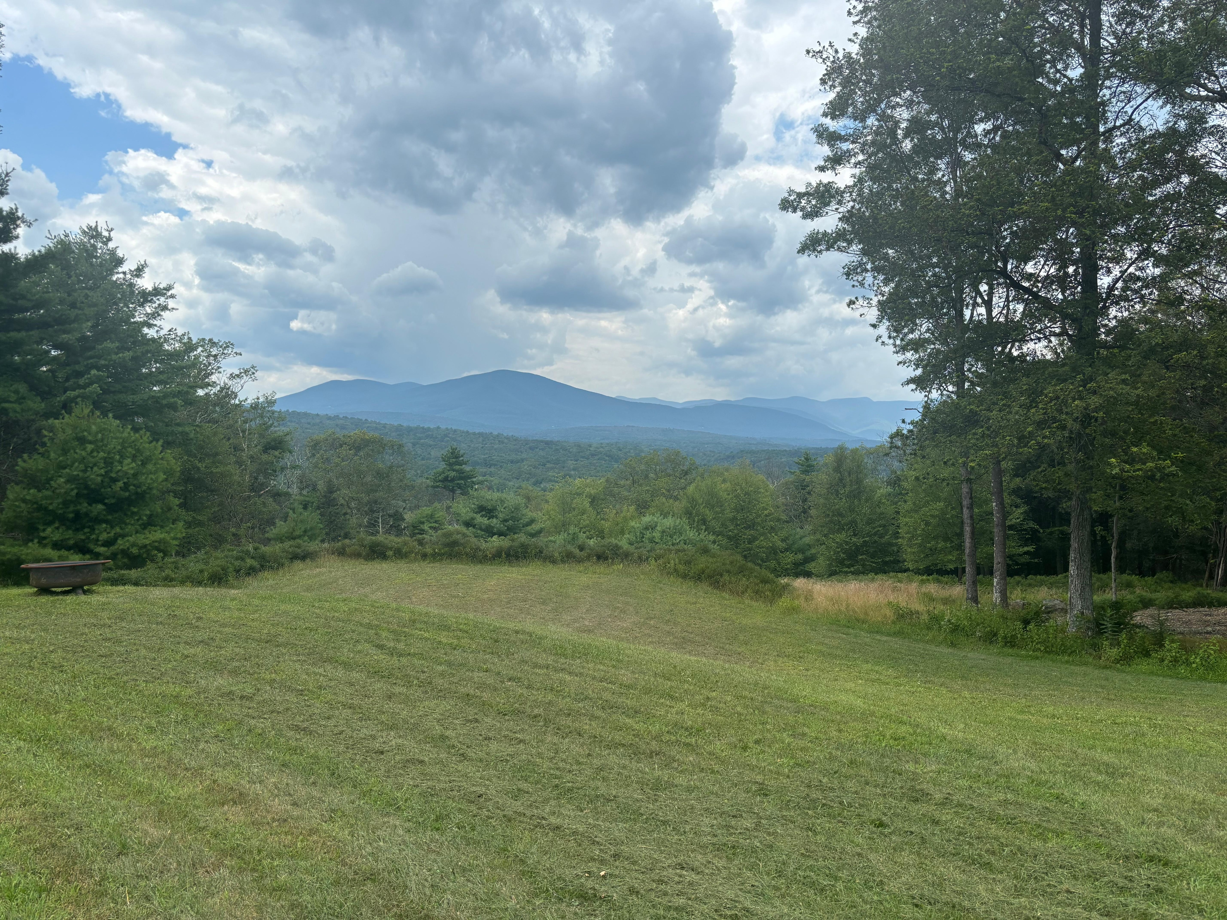 View from the back of the house 