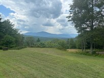 View from the back of the house