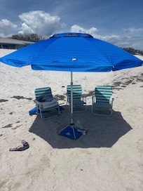 Great day at the beach