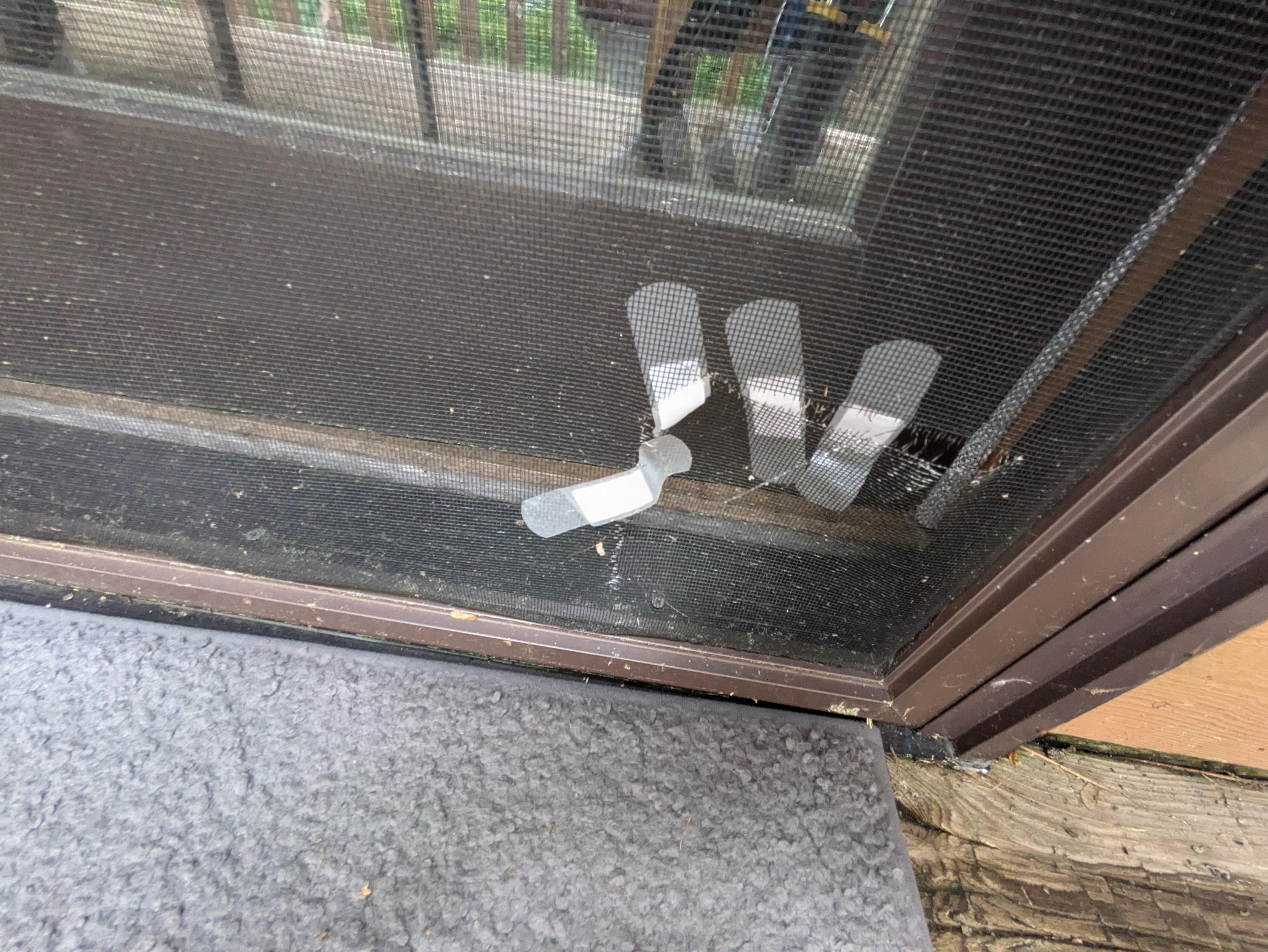 Hole in the screen