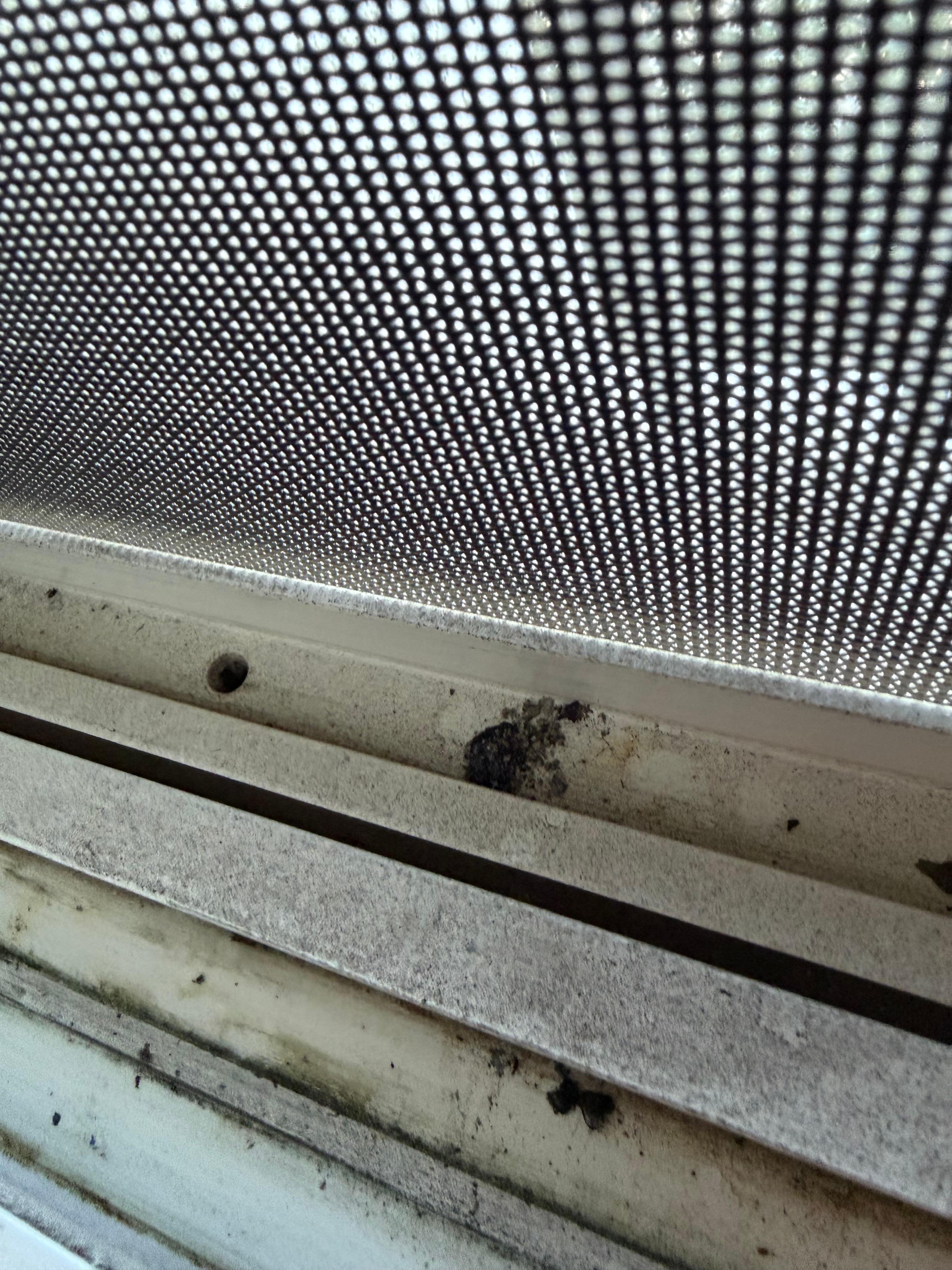 Ashes in the window seal