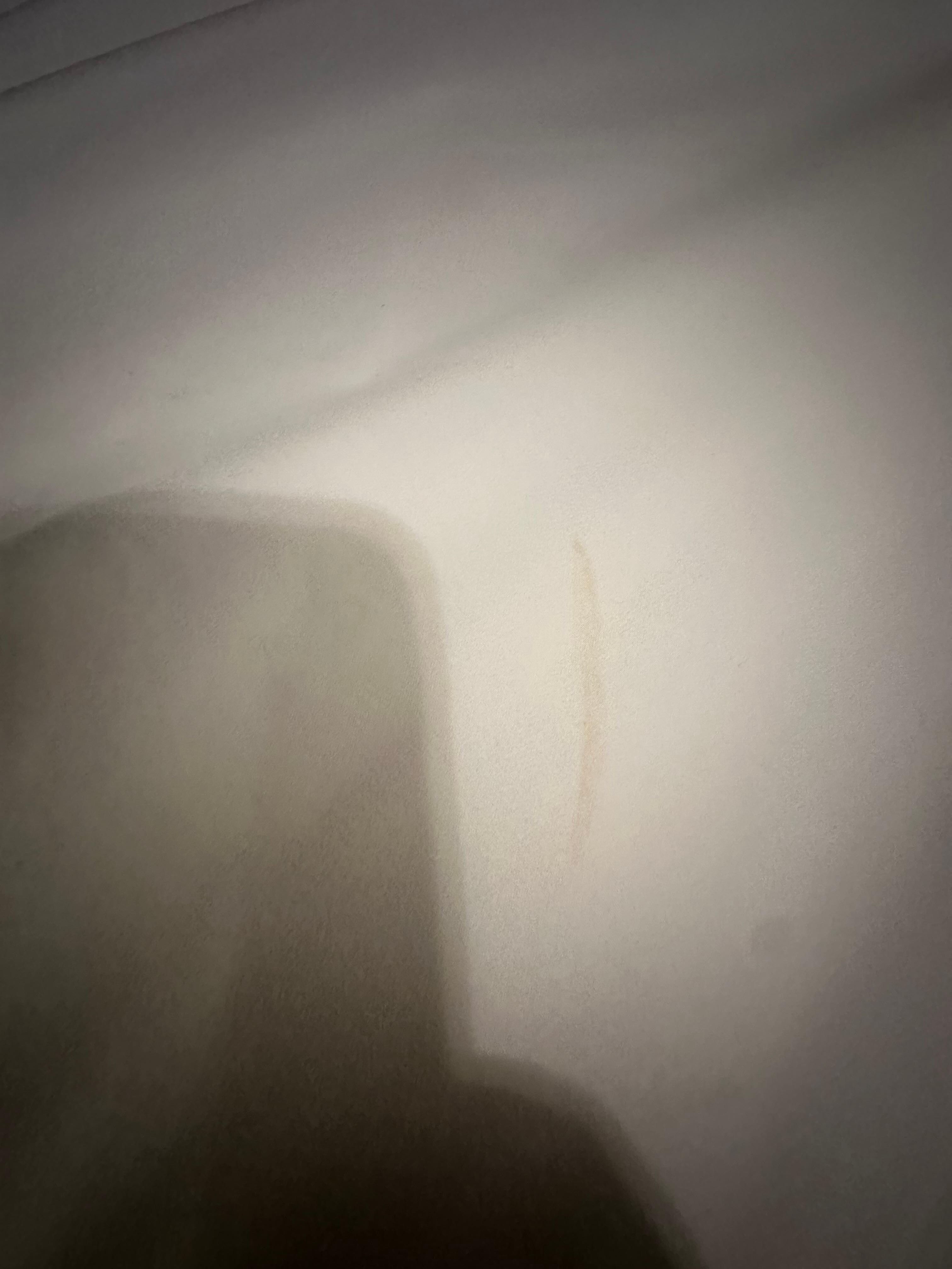 Stain in master bed room sheets/dog hair on bed blankets in 2nd bedroom.