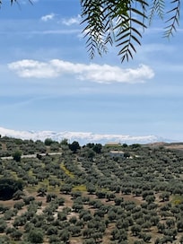 View from the hammock