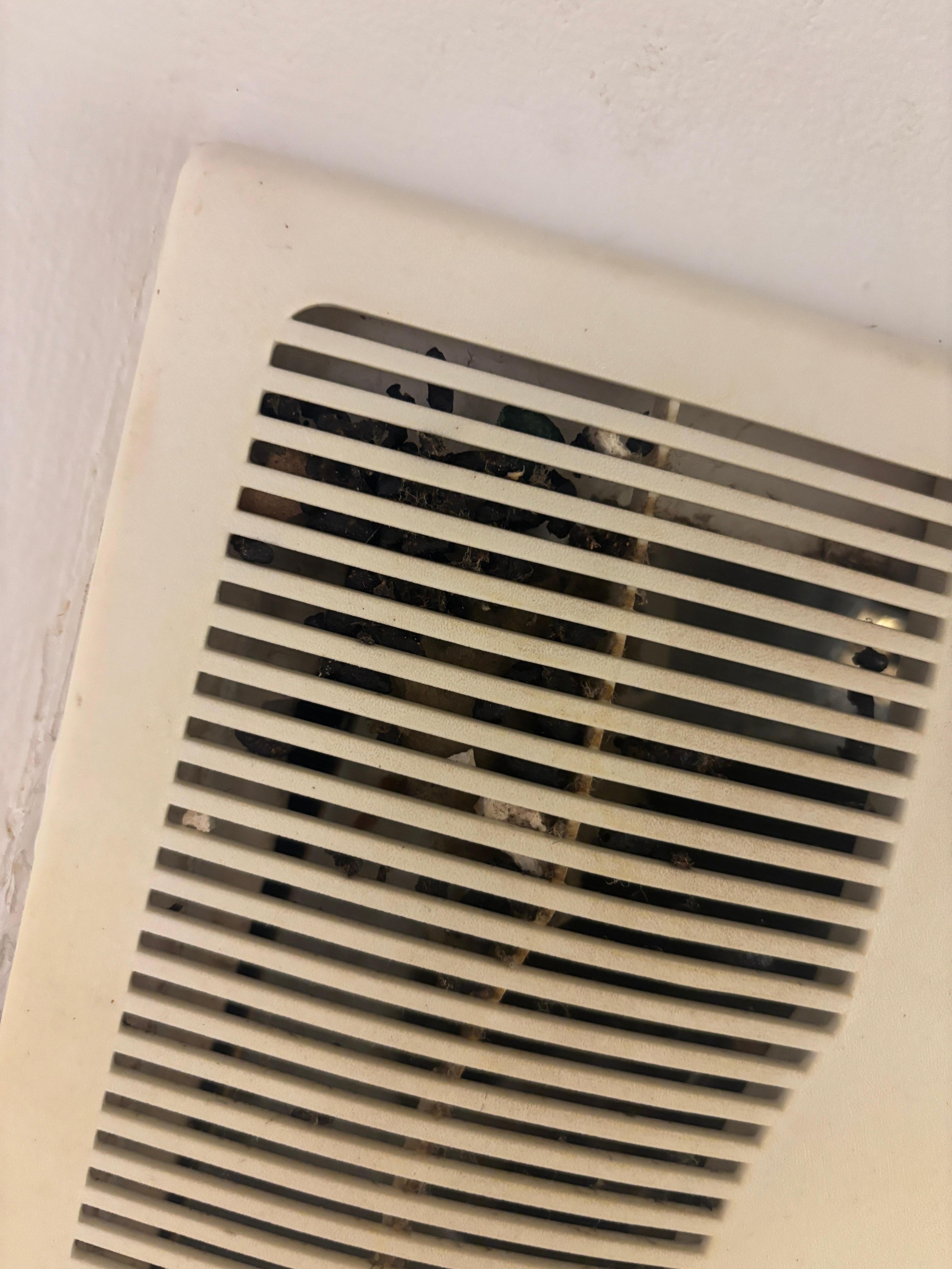 A dead mouse in the fan. 