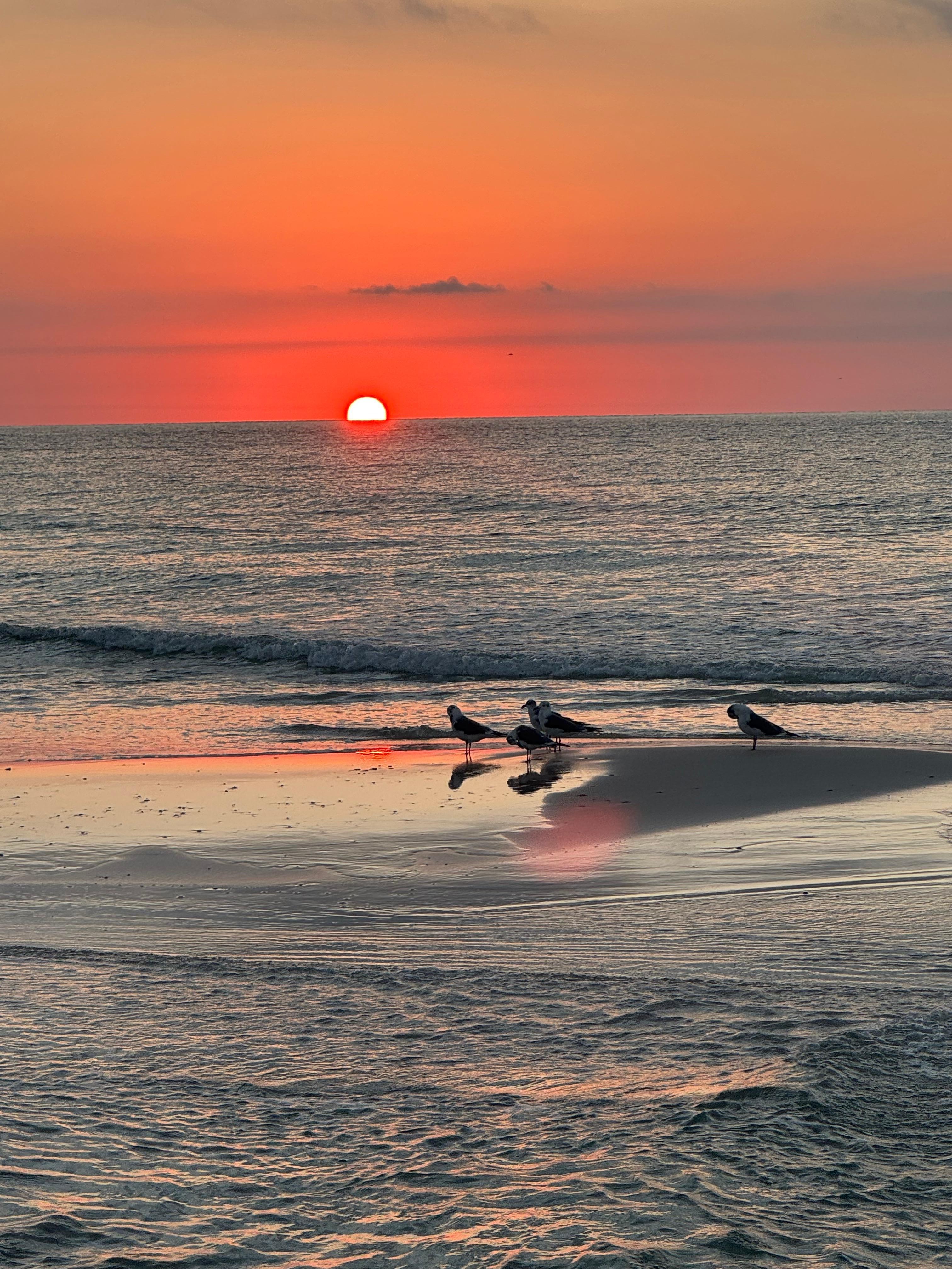 Beautiful sunrises and sunsets