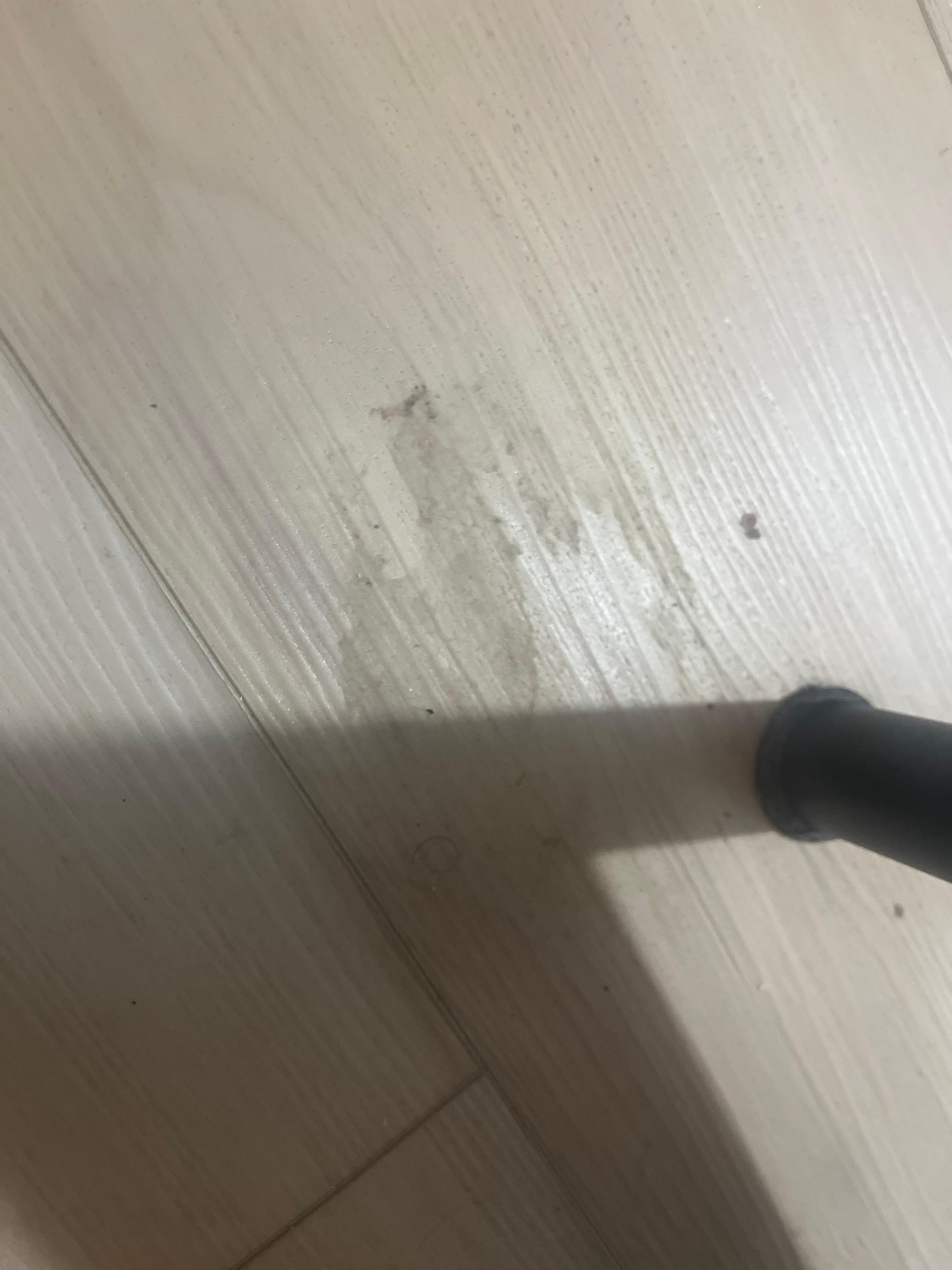 Floor stain