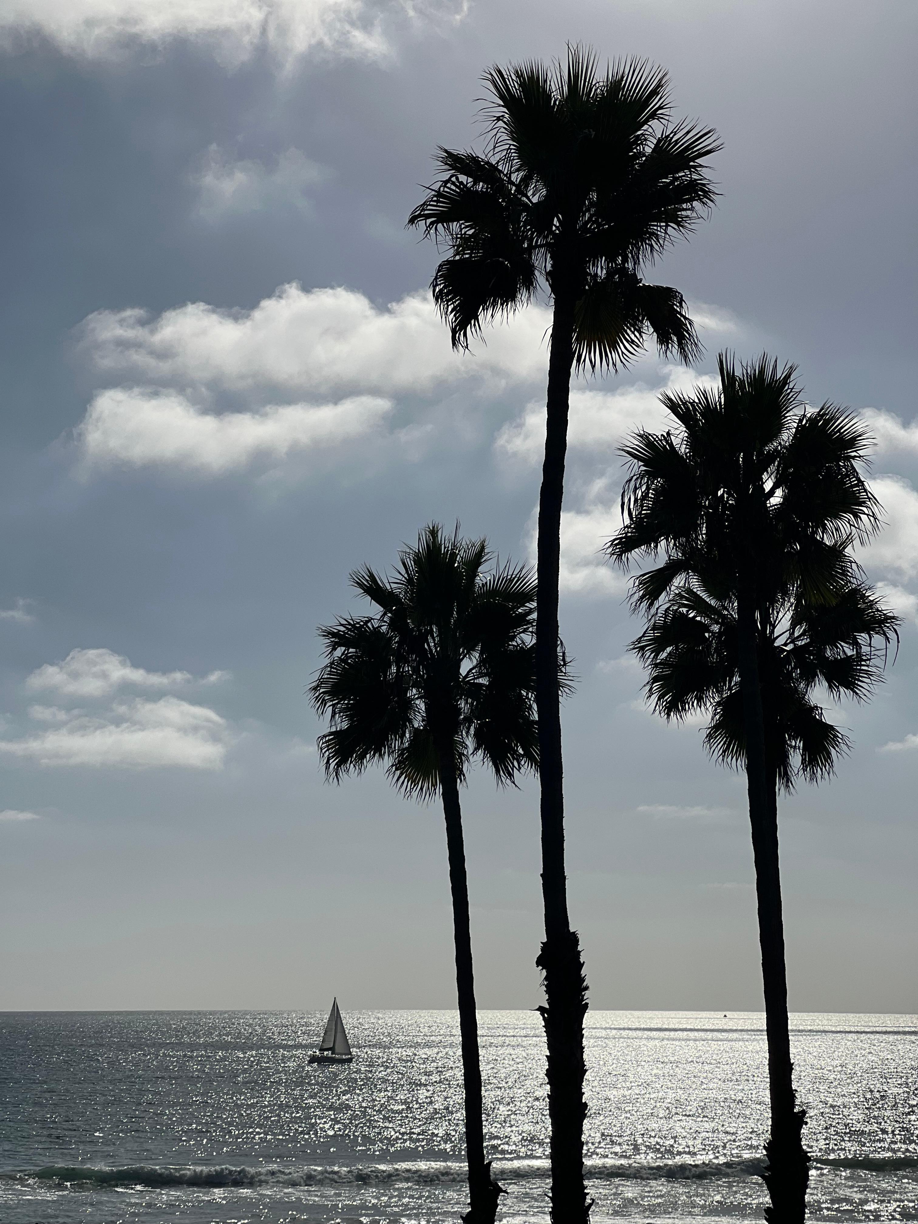 View from balcony patio
