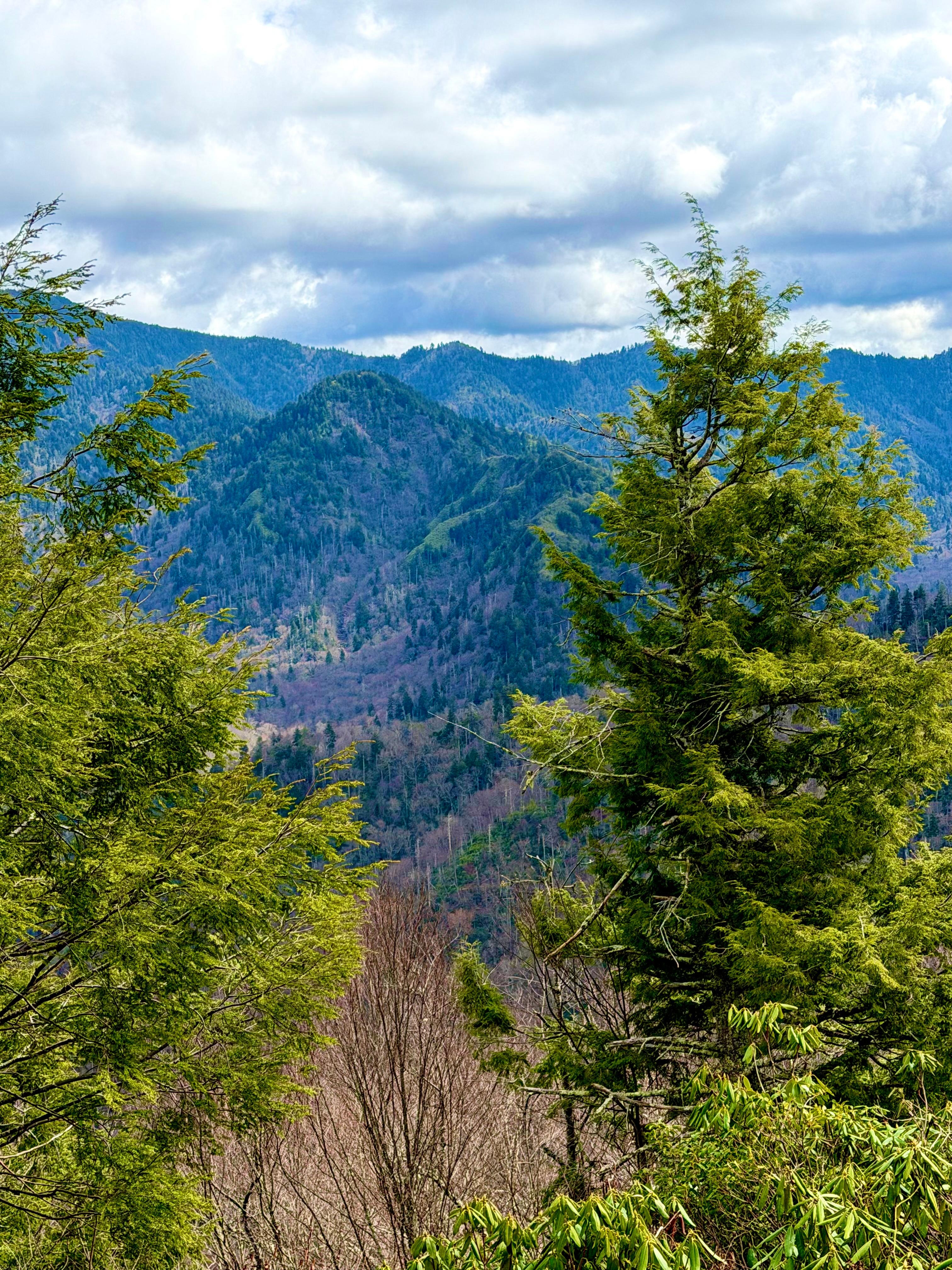 View from the summit of Chimney Tops Trail