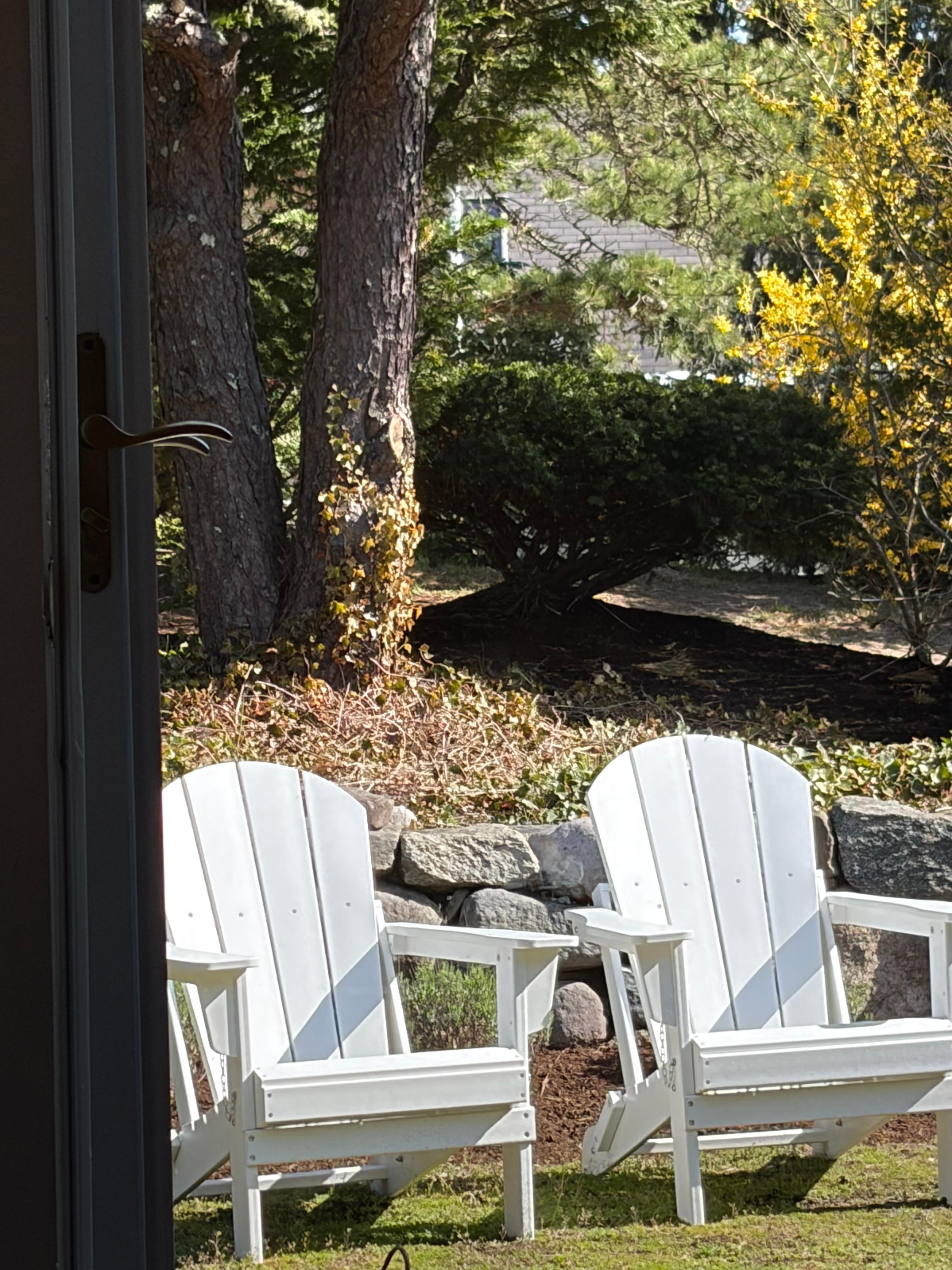 Looking out the front door of the cottage 