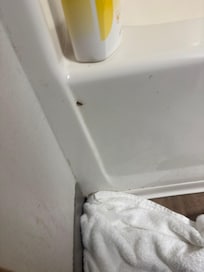 The roach that was in the bathroom if you zoom in you’ll see it awful shitty ass place