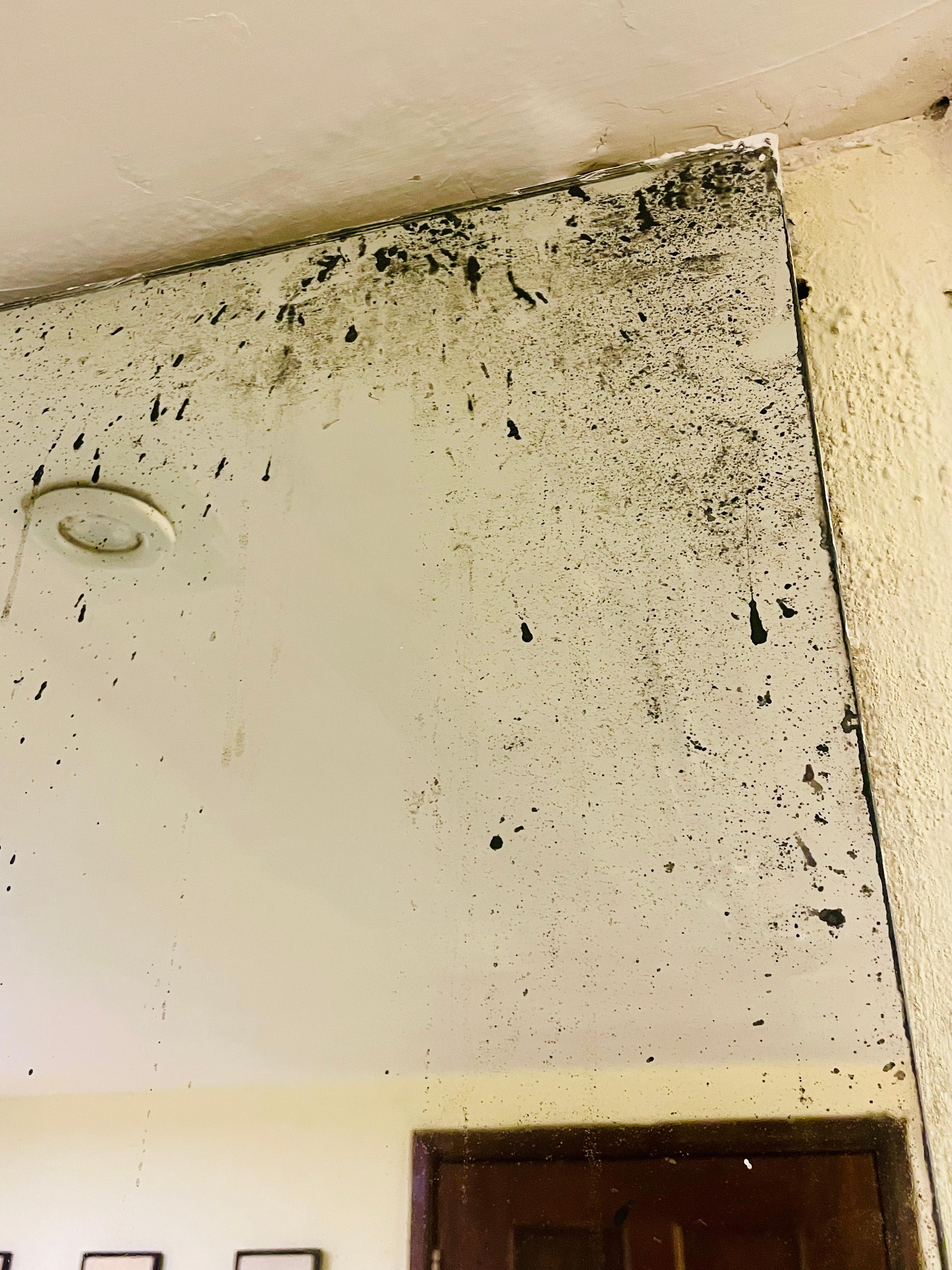 Mirror needing replacement?