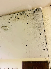 Mirror needing replacement?