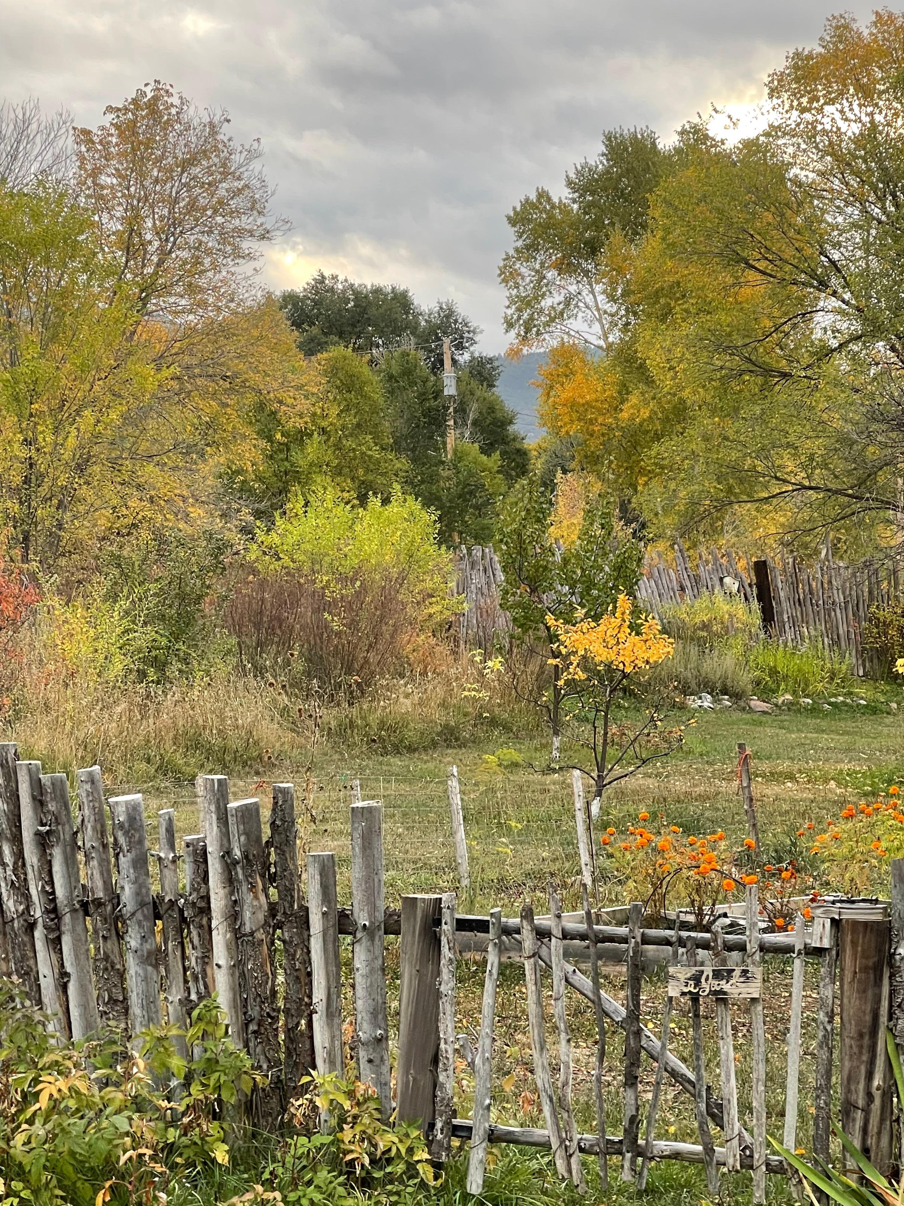 View from the front porch.