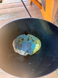 Dead flies in bucket on porch as you walk out.