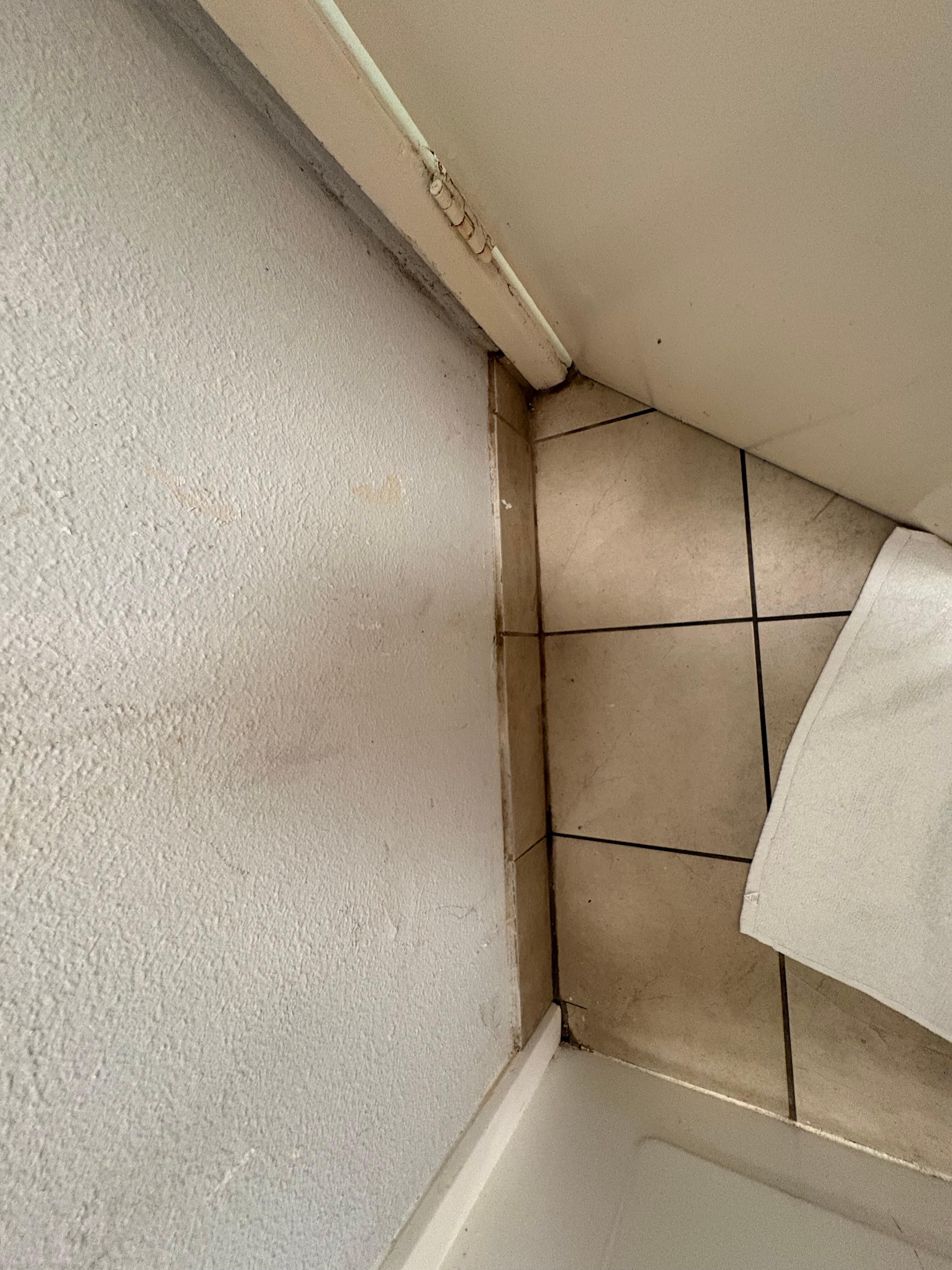 Bathroom wall and floor