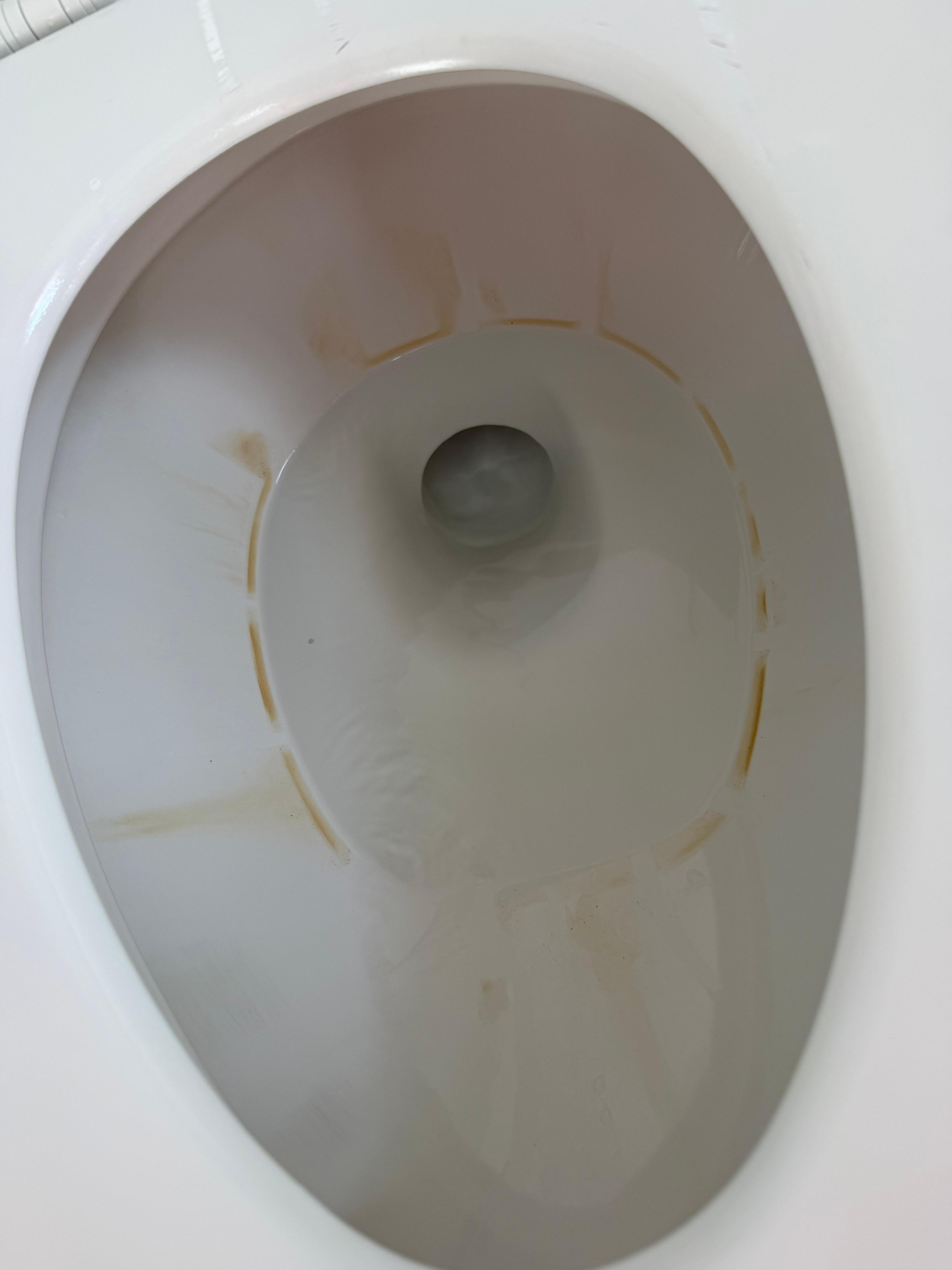 Stained and gross toilet 