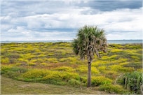 Another balcony view.