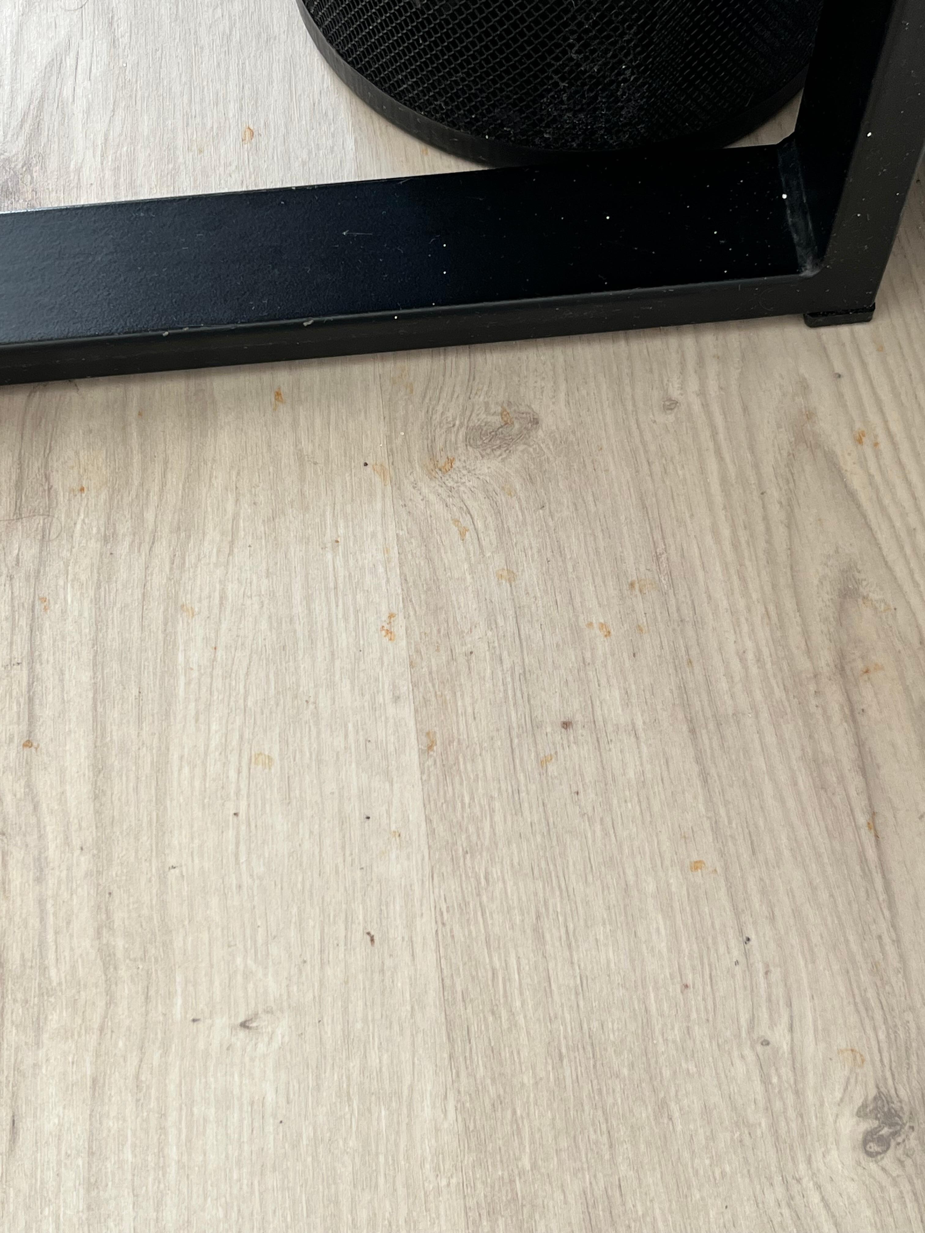 Zimmer1: Dreckiger Boden