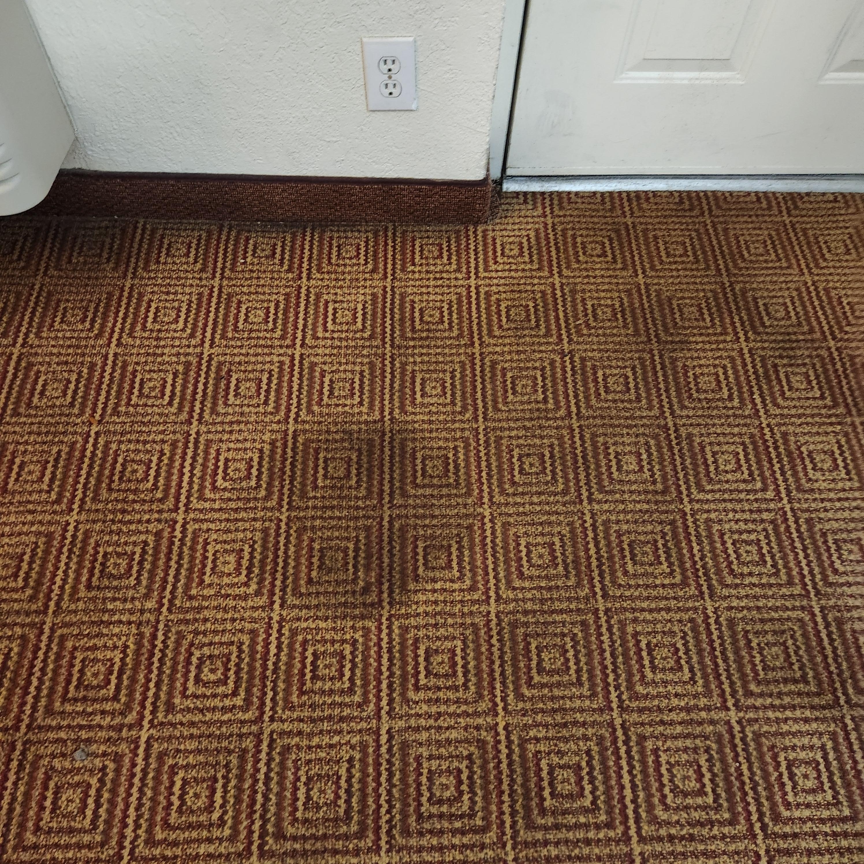 Stains in different spots in the room