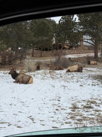 Down the road from the house.