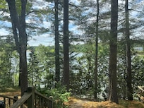 Woods surrounds home