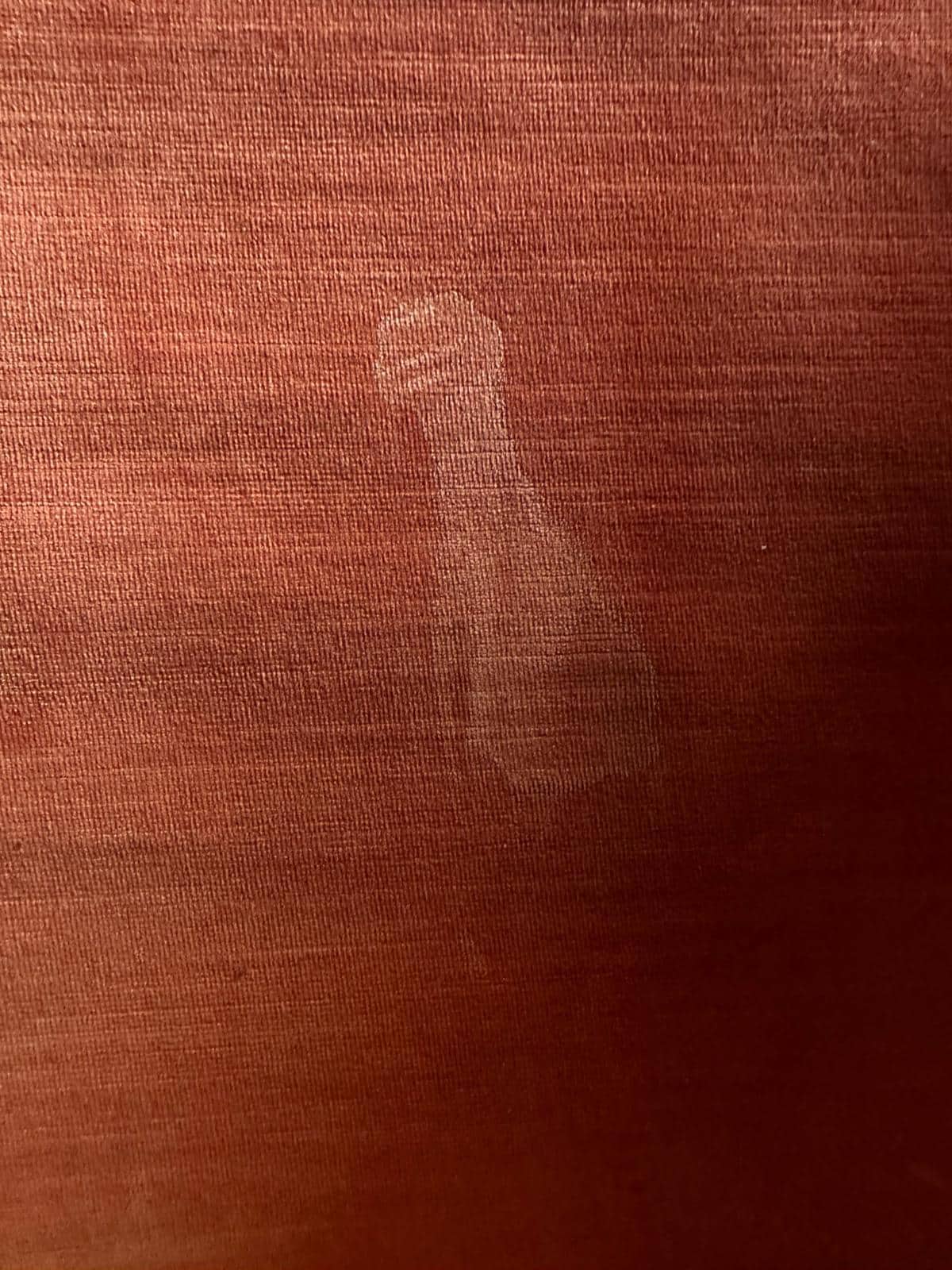 Semen stain