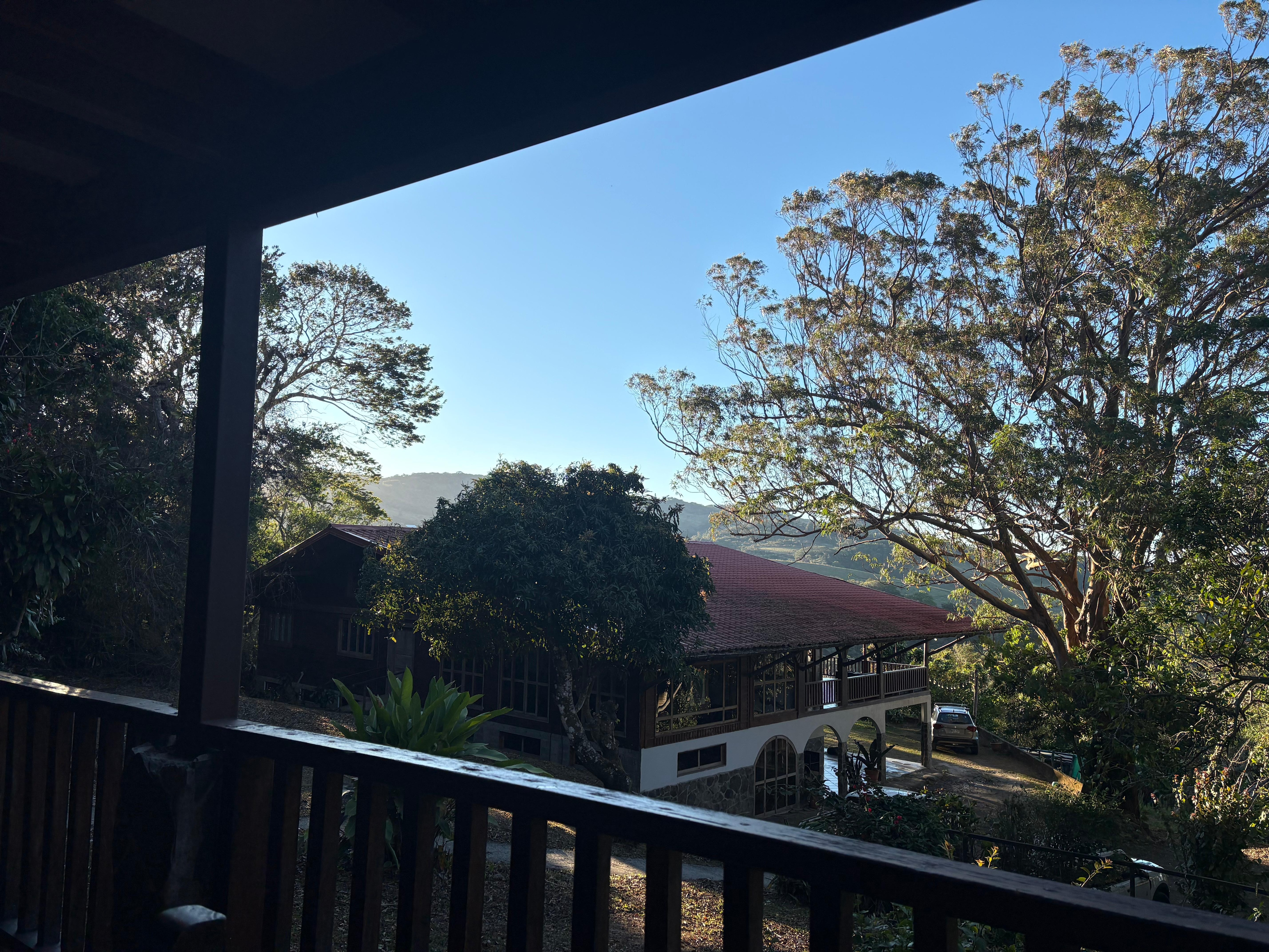 Another morning view 