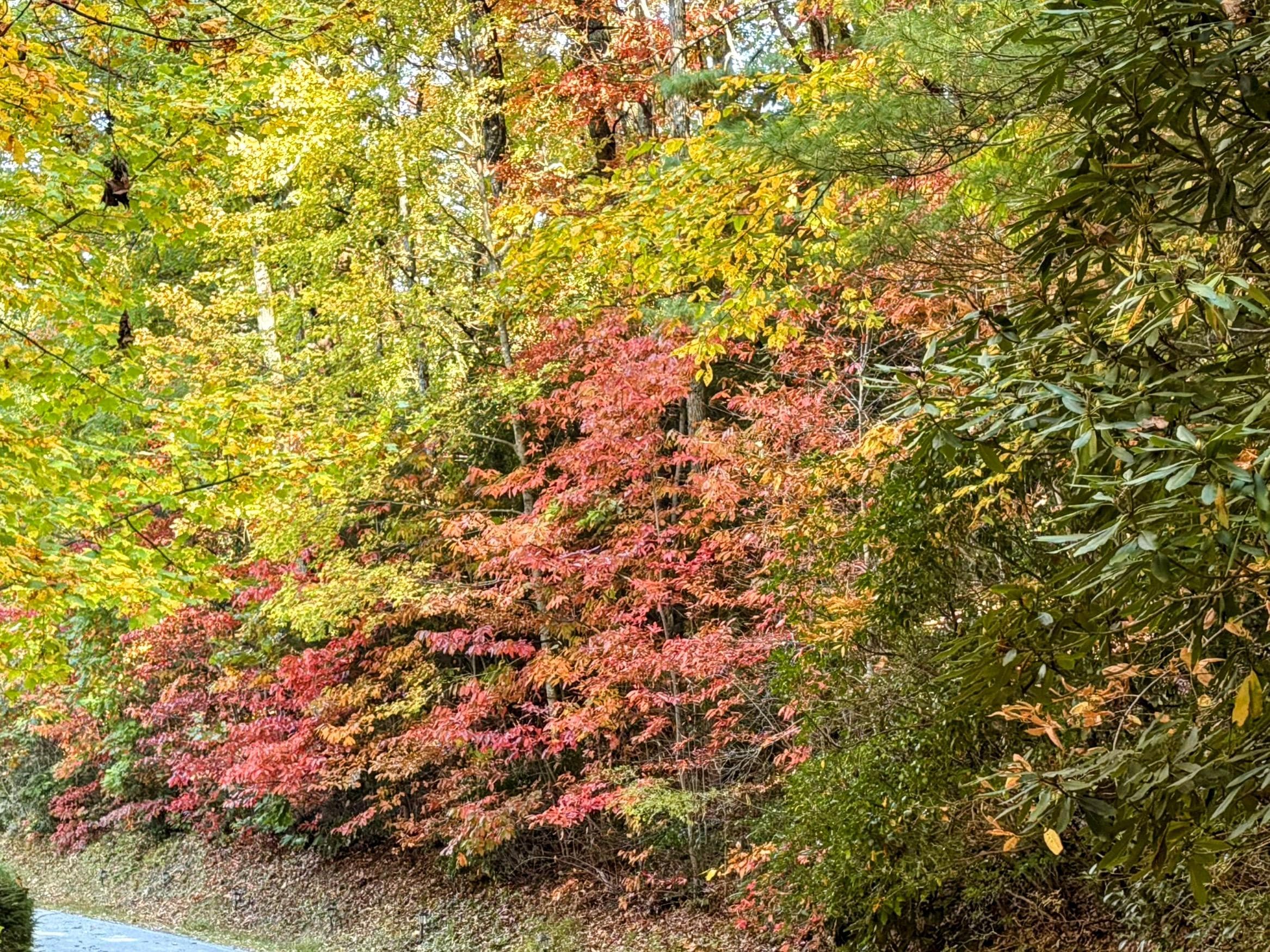 Leah change near the house. 