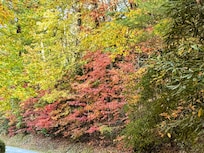 Leah change near the house.