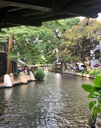 Riverwalk area is beautiful and so many great restaurants.