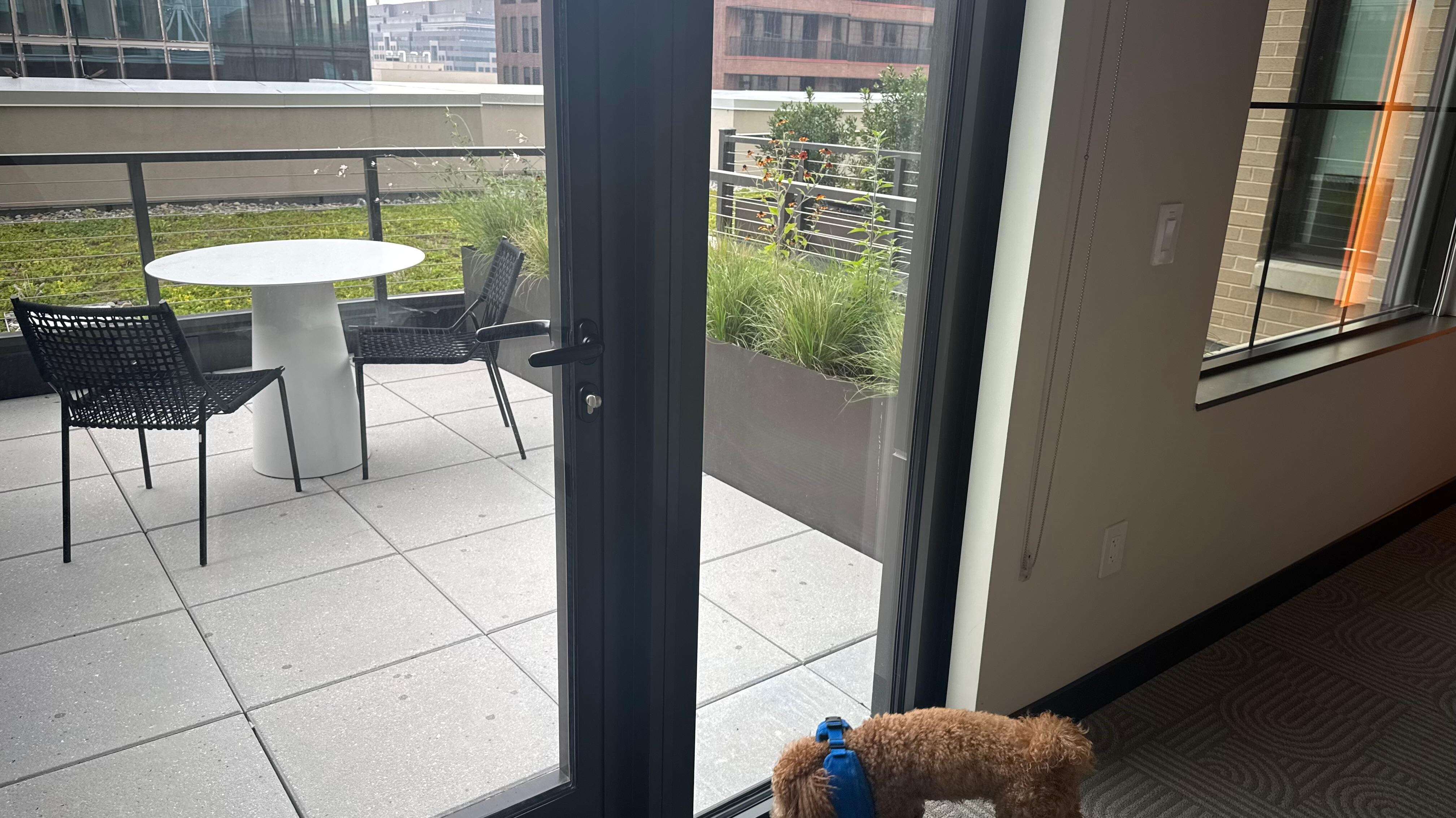 Puppy friendly 