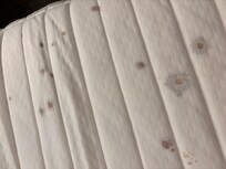 Closer look on the stains on the mattress for the sofa
