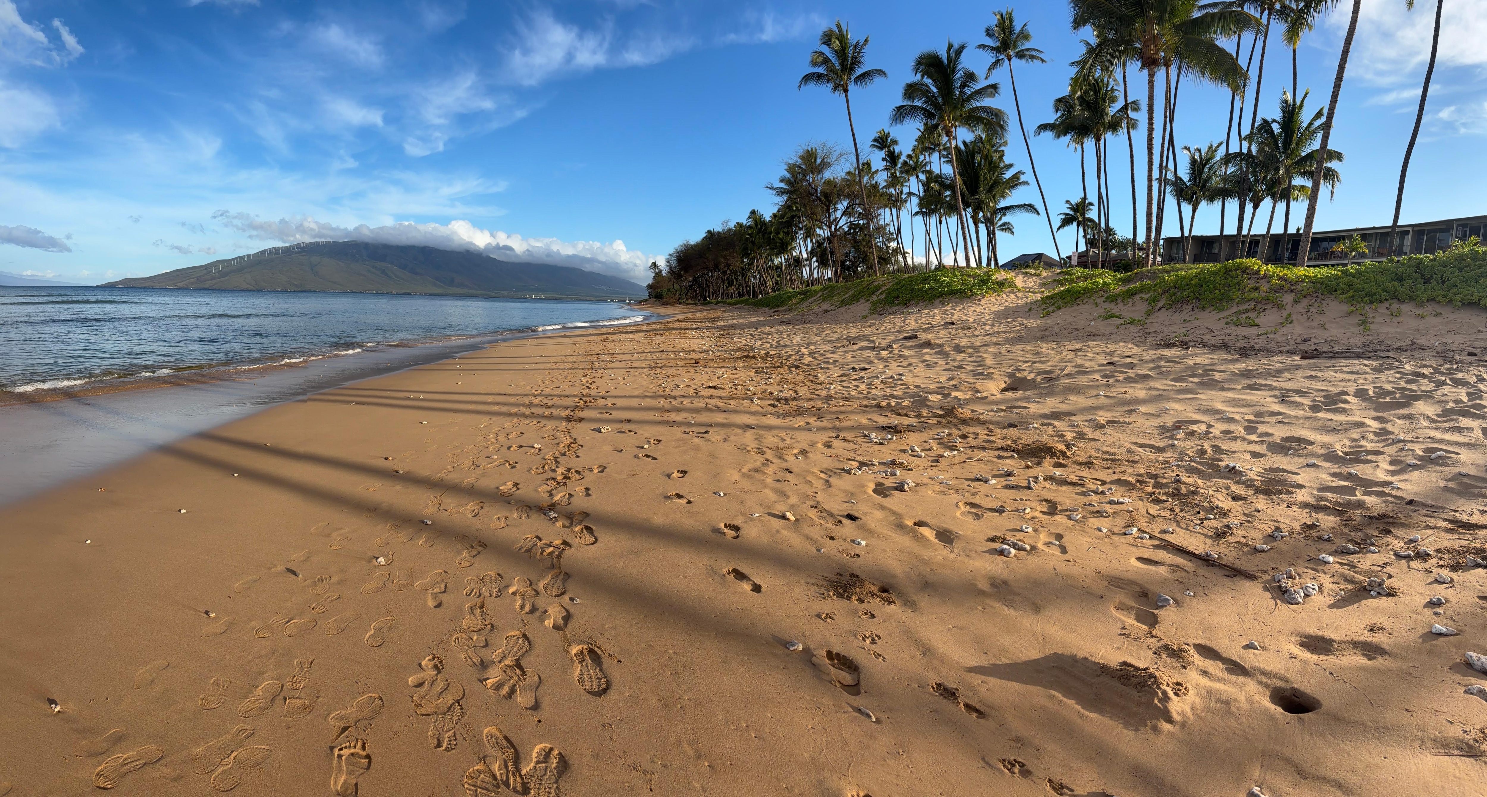 Morning walk in front of the condo