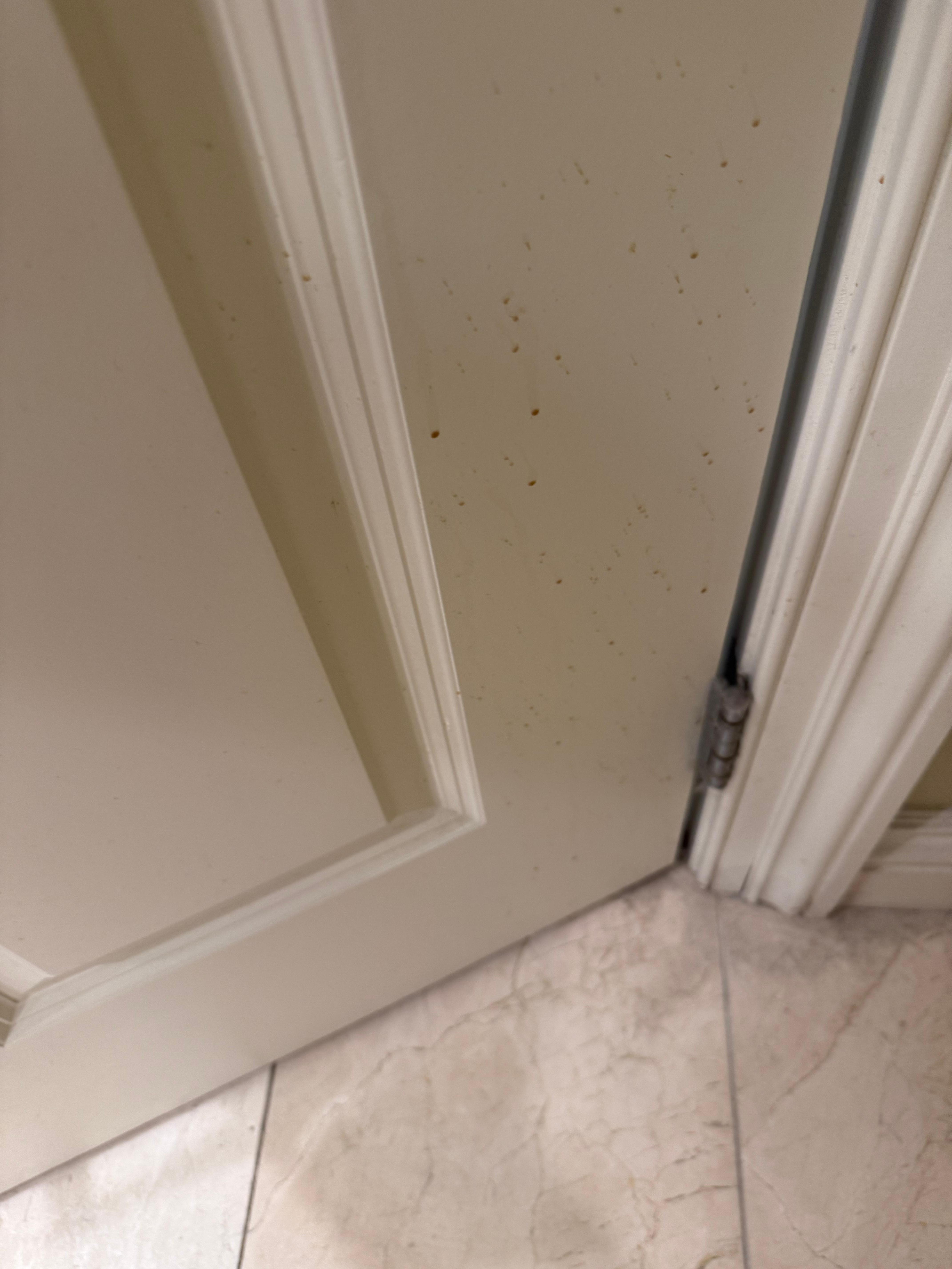 Bodily fluids on door by toilet