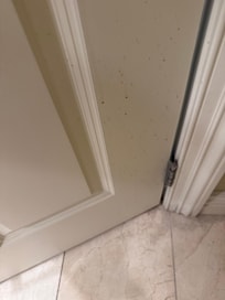 Bodily fluids on door by toilet