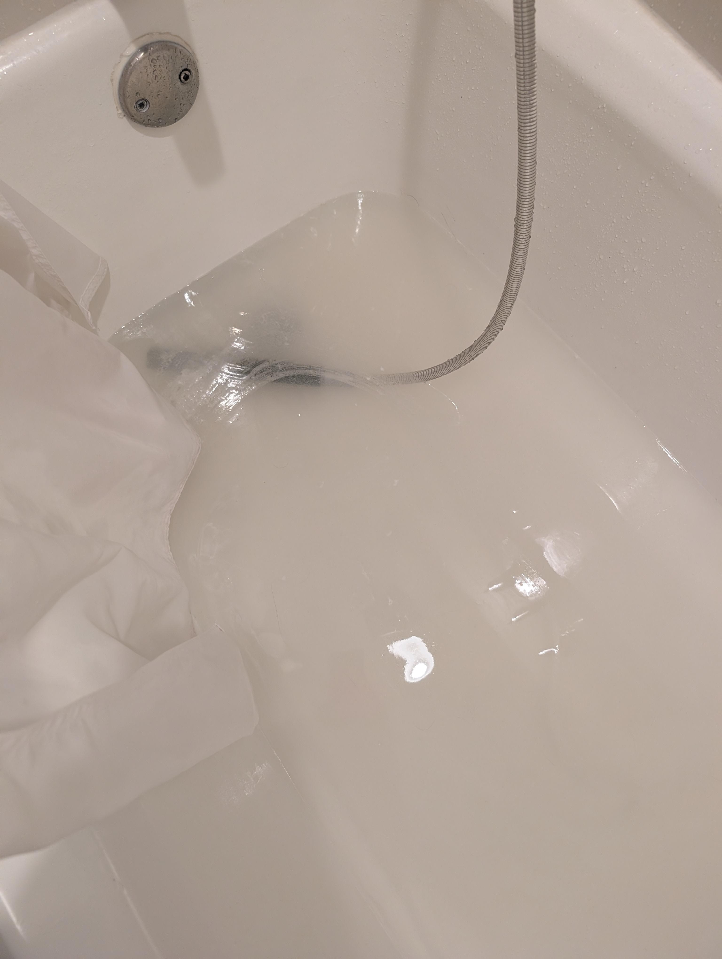 Bathtub would not drain