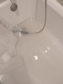 Bathtub would not drain