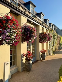 Beautiful flowers everywhere