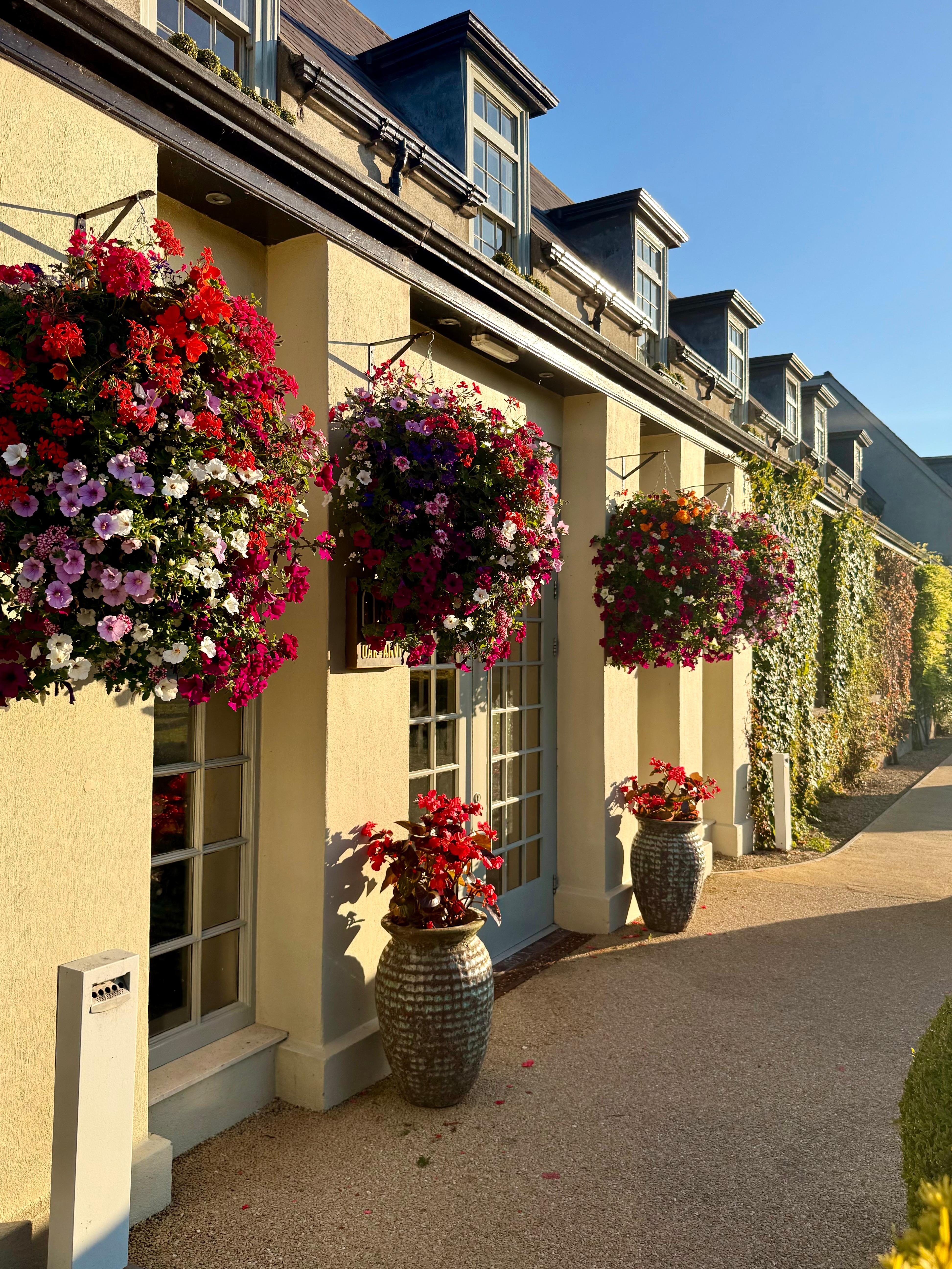 Beautiful flowers everywhere