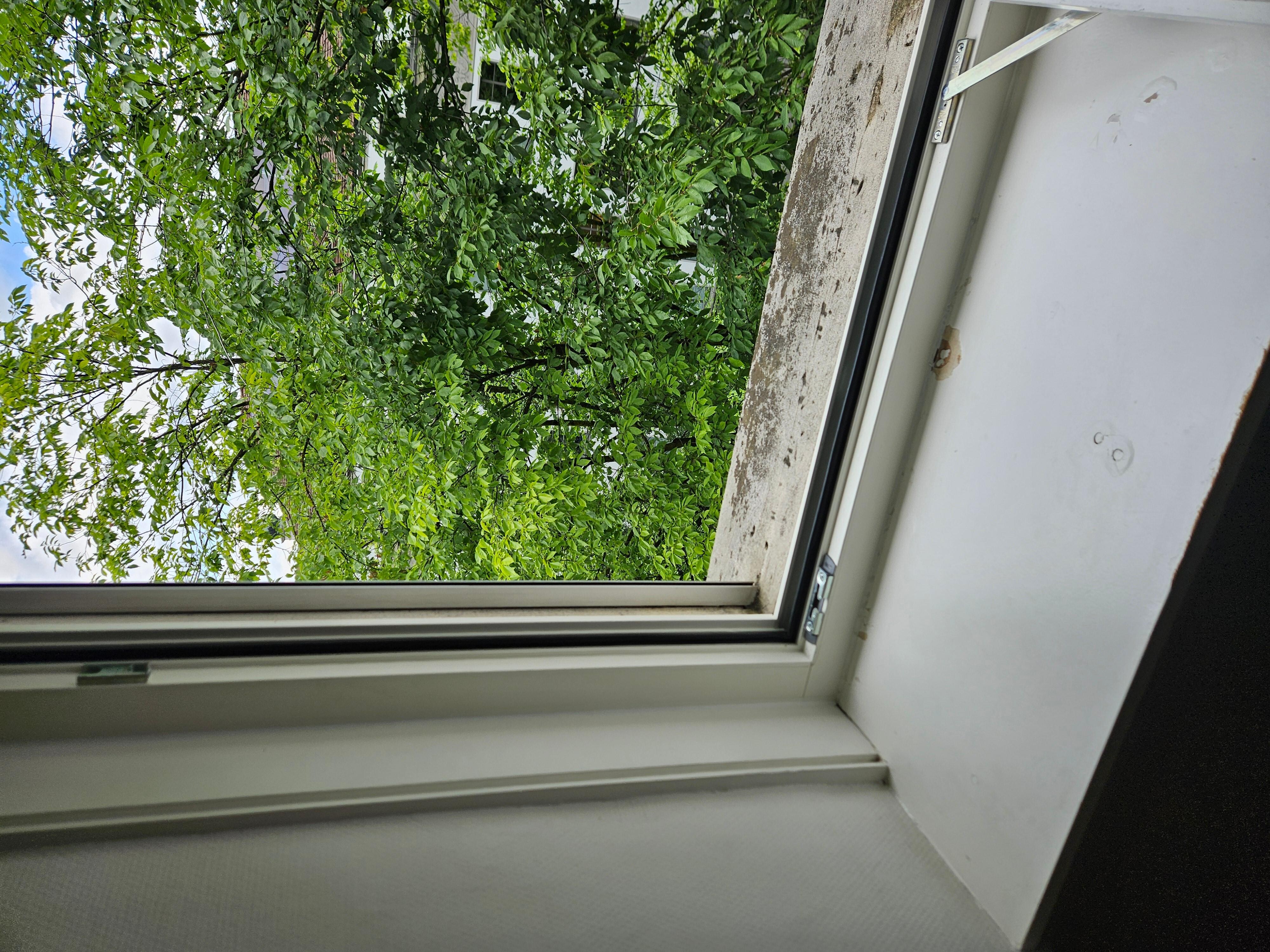 Good size window with a great breeze.