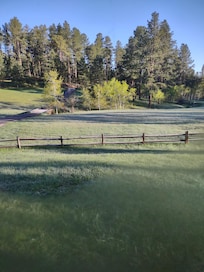 View from the family room.