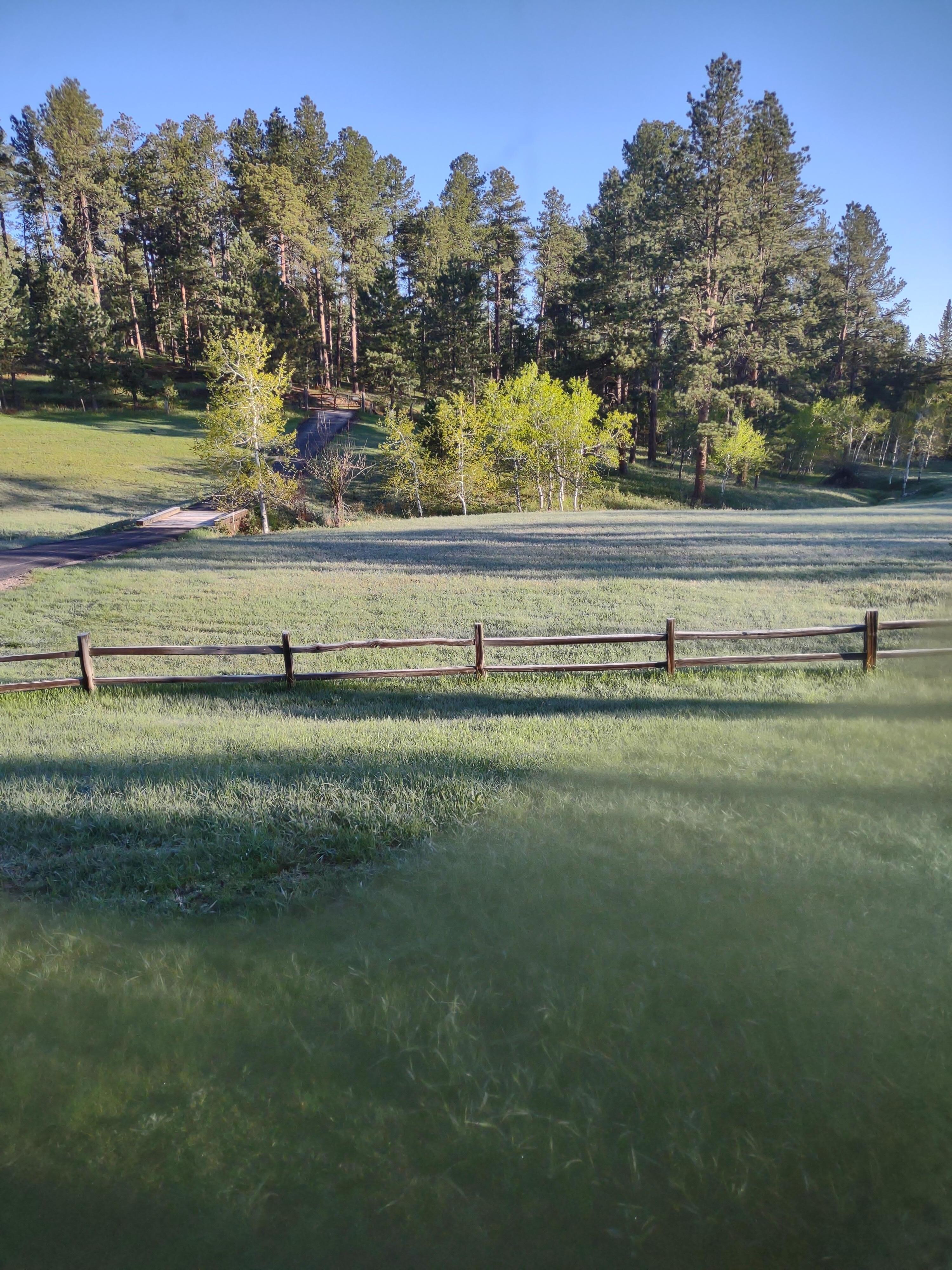 View from the family room.